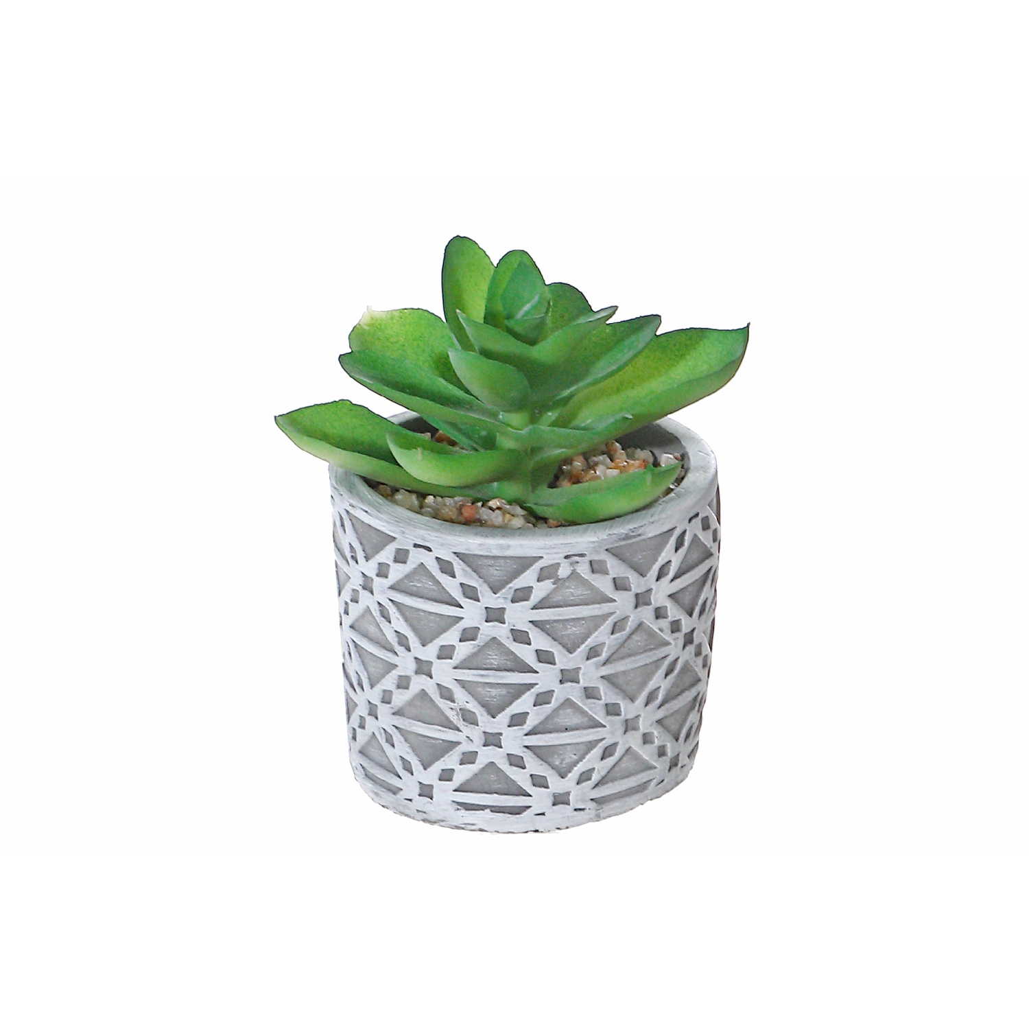 Maison Concepts Artificial Succulent In Round Cement Pot Asstd - Set of 2