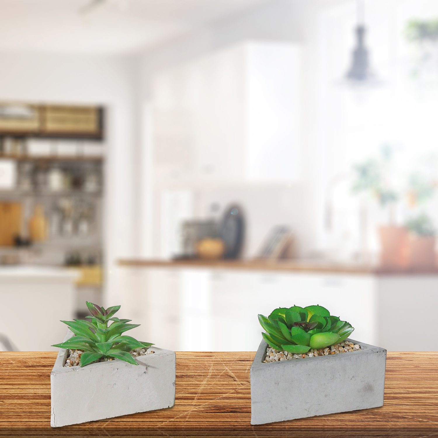 Maison Concepts Artificial Succulent In Triangular Cement Pot Asstd - Set of 2
