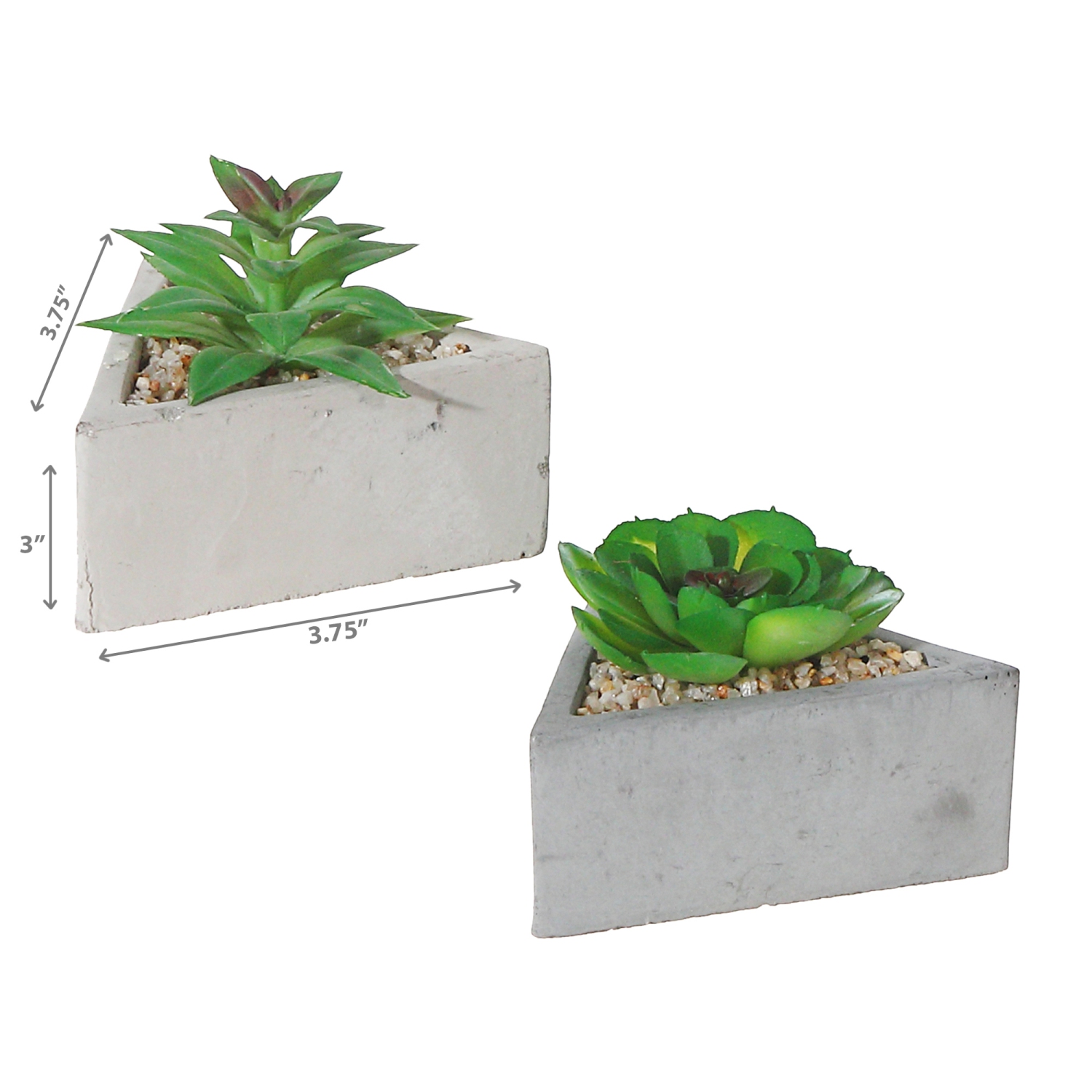 Maison Concepts Artificial Succulent In Triangular Cement Pot Asstd - Set of 2