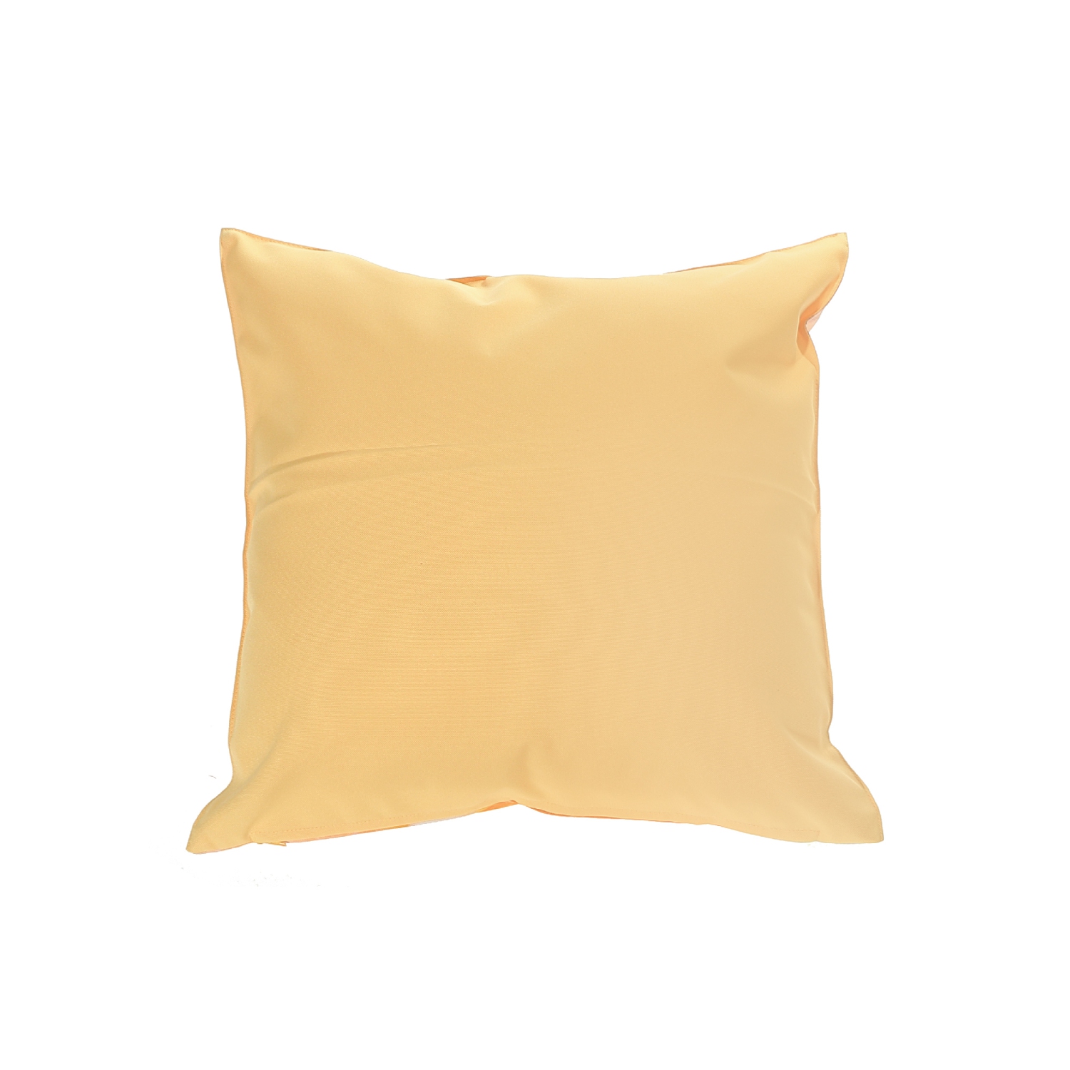 Maison Concepts Outdoor Waterproof Cushion Citrus - Set of 2