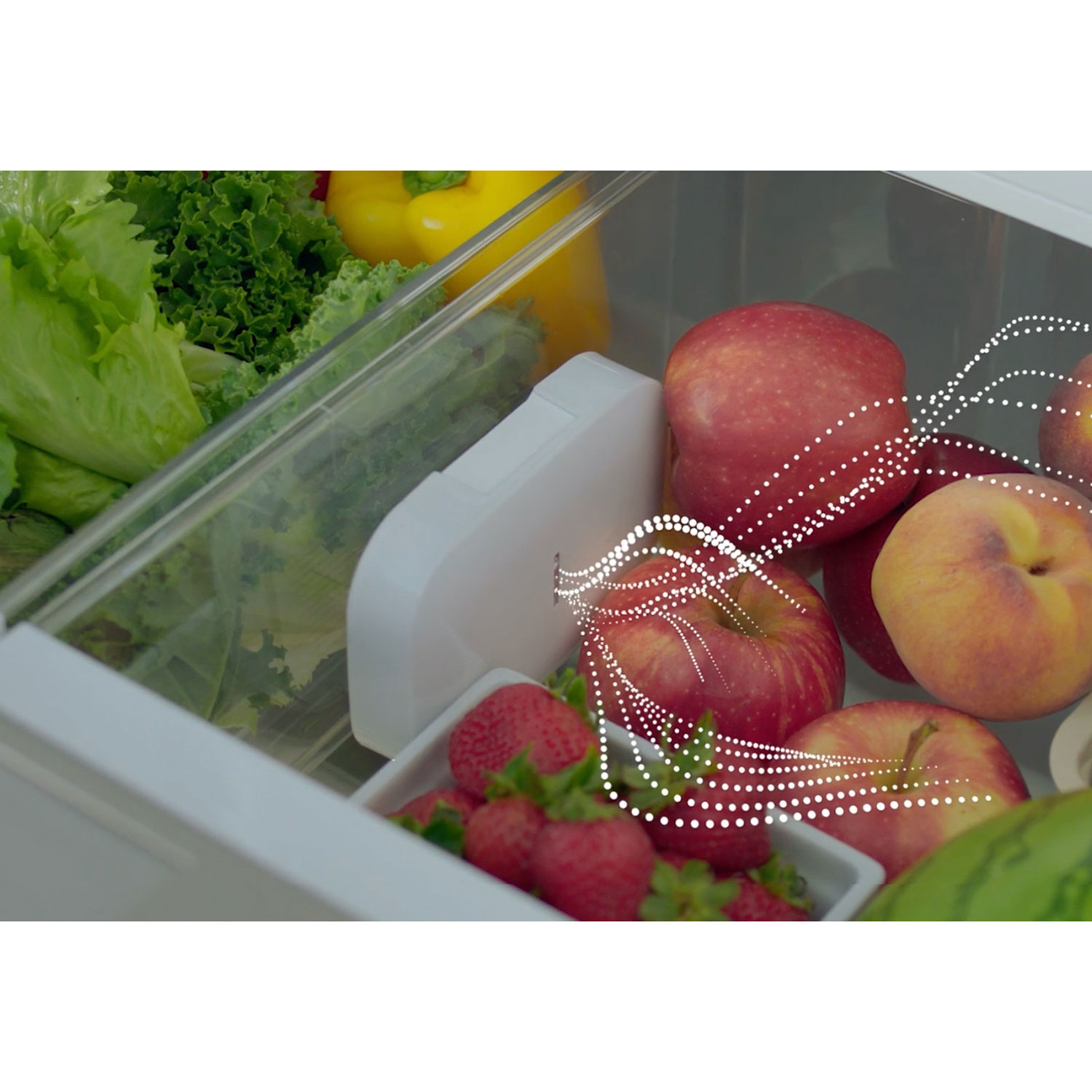 Bosch 36" 20.8 Cu. Ft. French Door Refrigerator with Water & Ice Dispenser - Stainless Steel