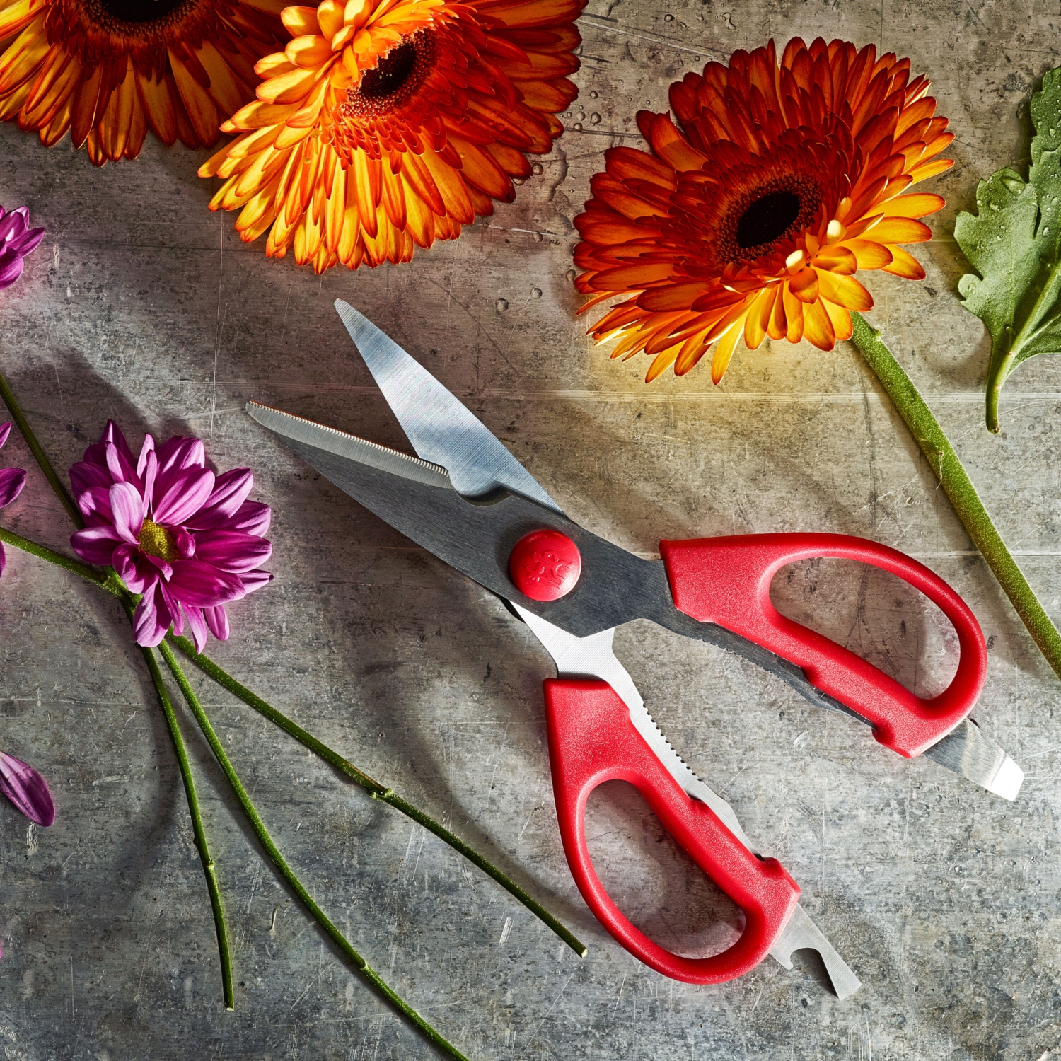 HENCKELS – Ciseaux tout usage Kitchen Elements, rouge