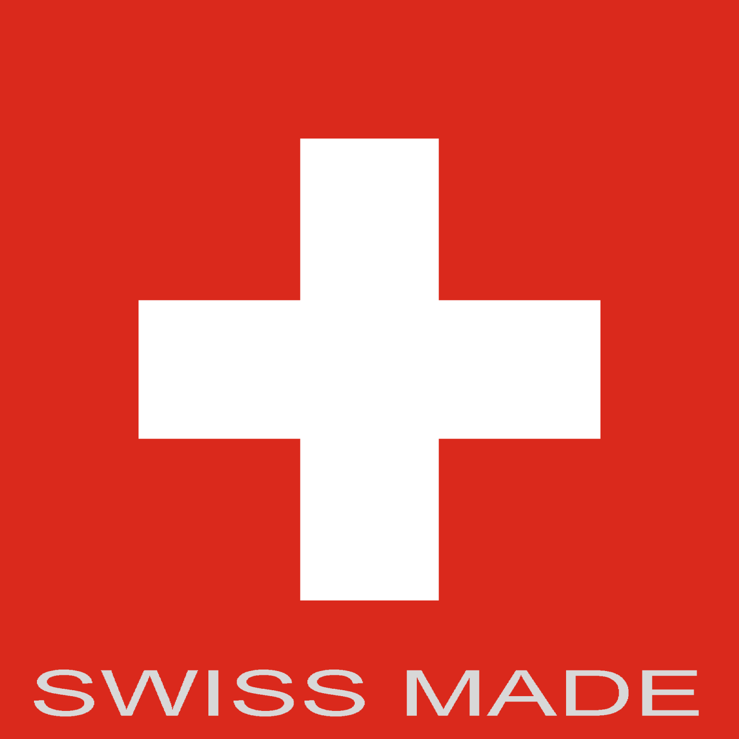 Festina F20016/3 Swiss Made Leather Watch In Black