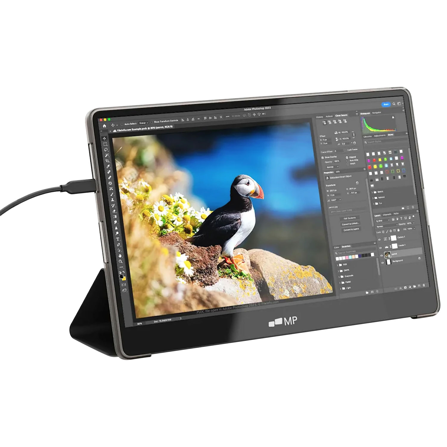 Mobile Pixels Glance Plus 15.6" FHD 60Hz 10ms GTG OLED Monitor - Black