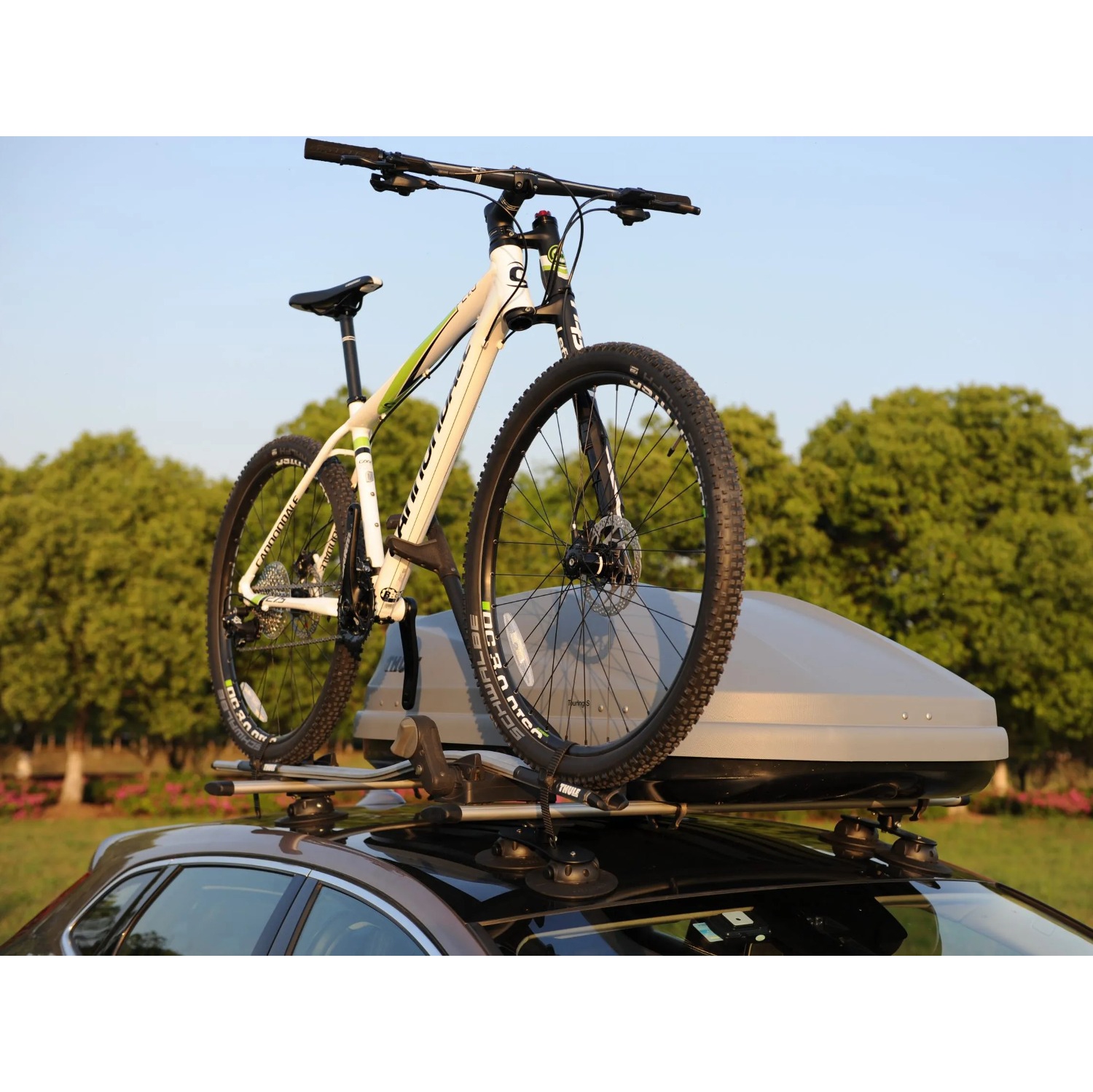 TreeFrog Crossbar Vacuum-Mounted Car Roof Rack