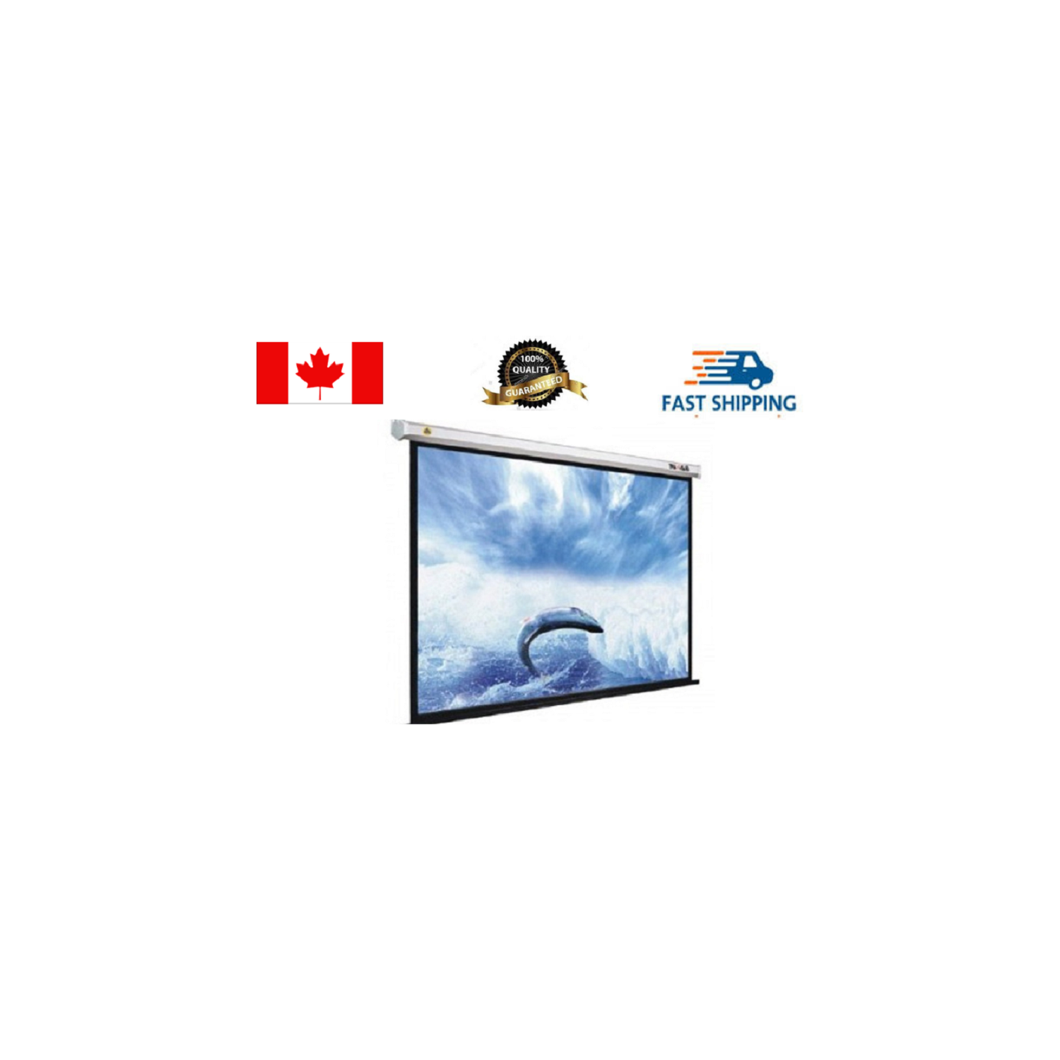 eGalaxy Motorized Projector Screen 165 Inch White,PSE165A