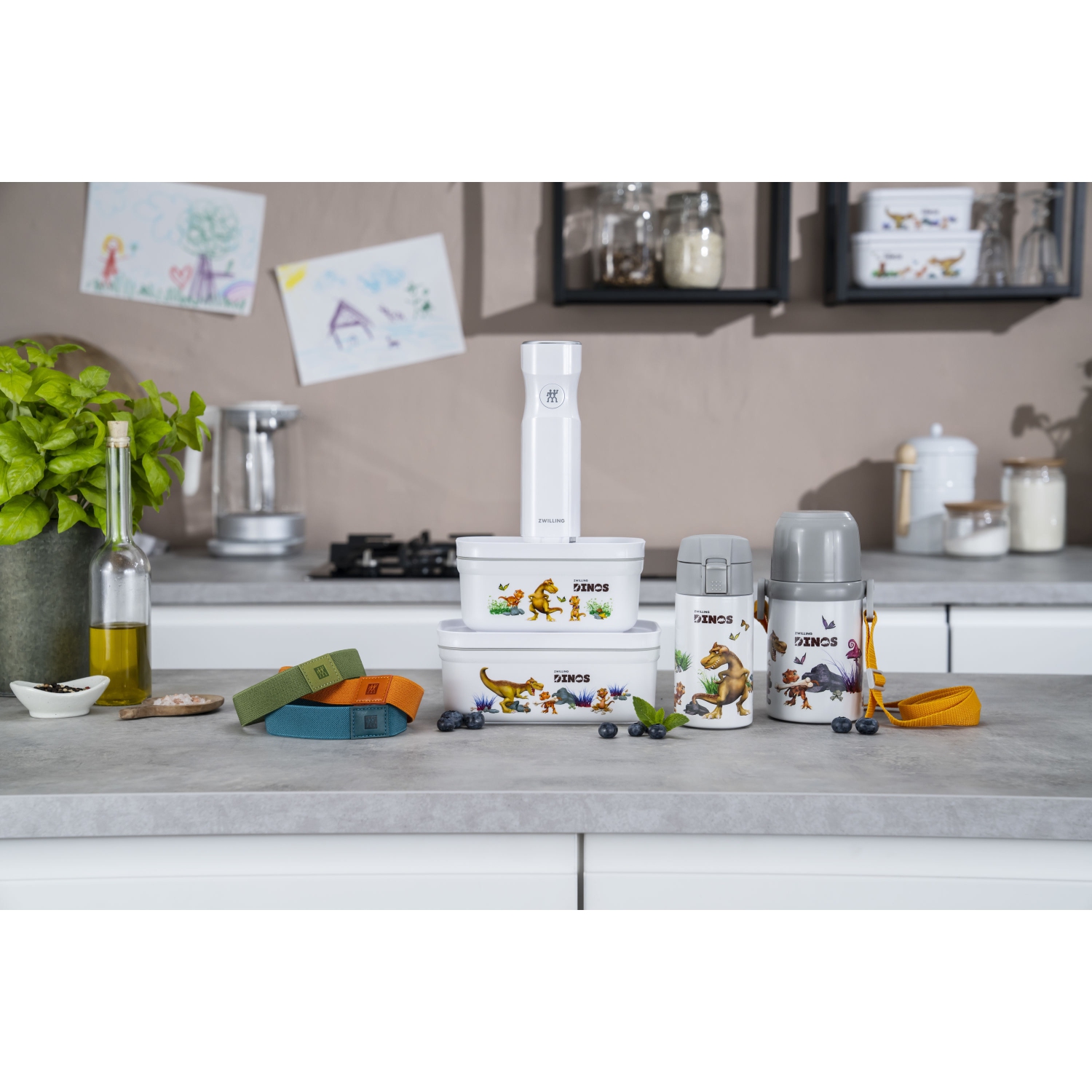 ZWILLING Dinos M Dinos Vacuum Lunch Box With Divider, Plastic, White-Grey