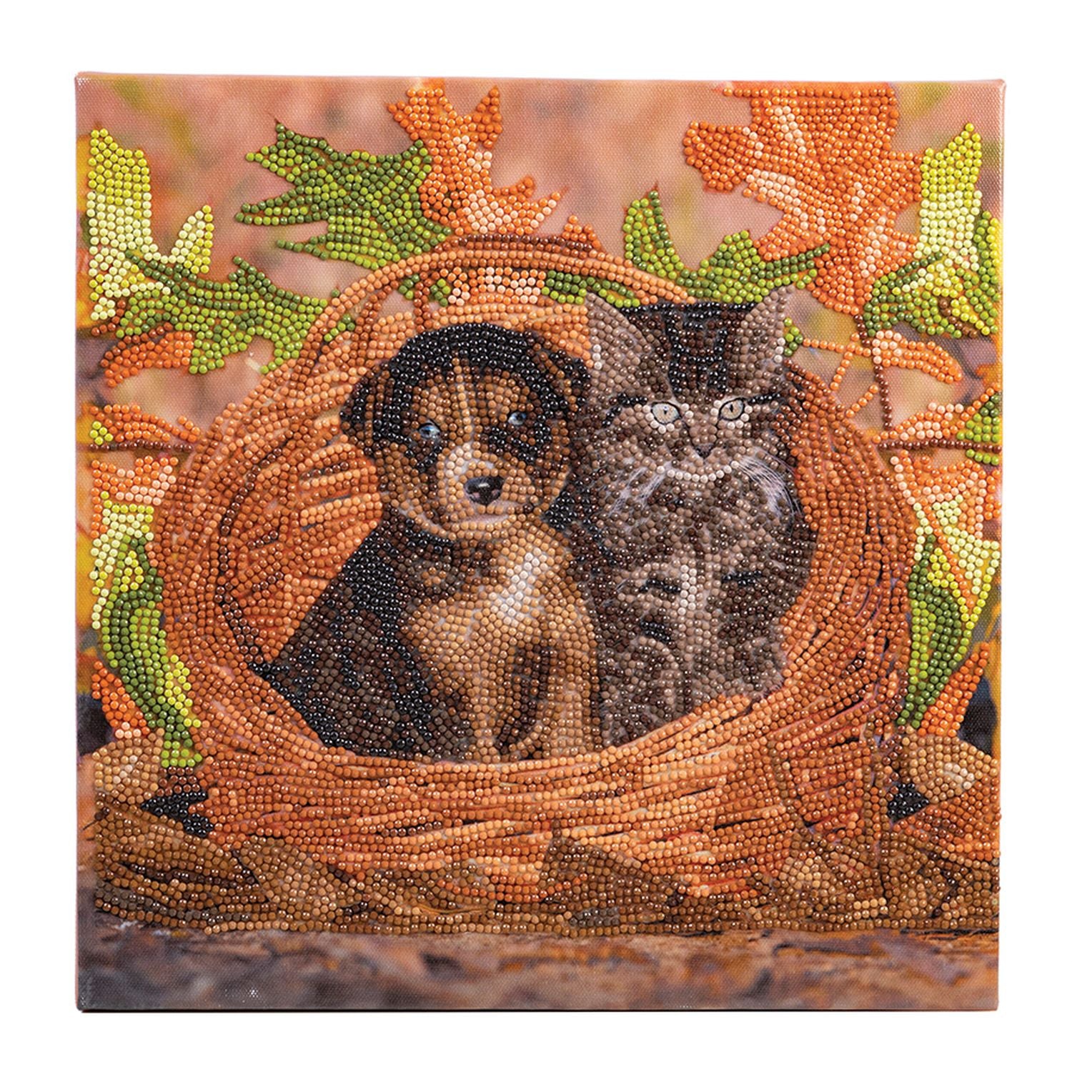 Crystal Art - CA Kit - Best Friends
