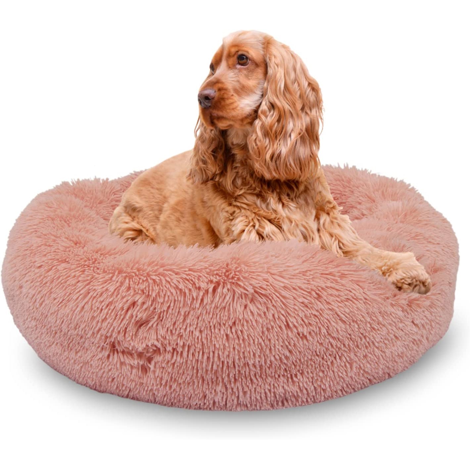 Lit de couchage en peluche lavable pour animaux de compagnie rond ISTAR pour chiots, animaux de compagnie, etc.