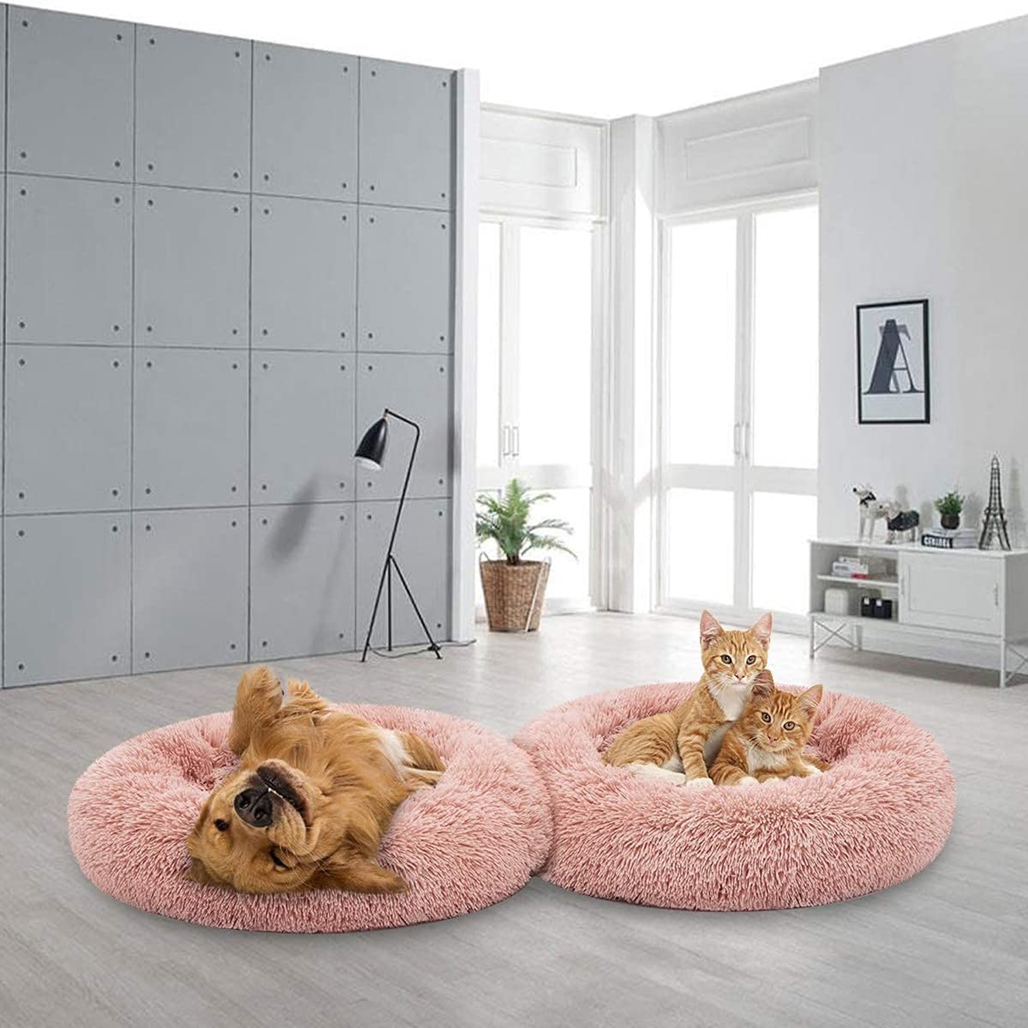 Lit de couchage en peluche lavable pour animaux de compagnie rond ISTAR pour chiots, animaux de compagnie, etc.