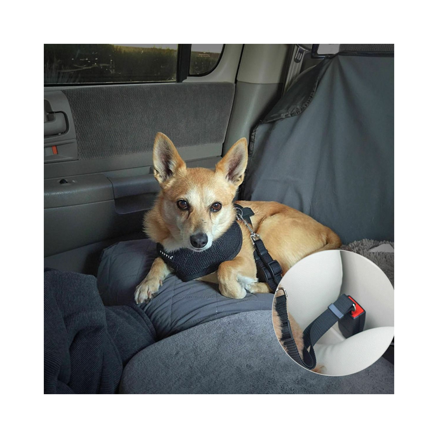 Dog Car Safety Belt - Dog Seatbelt Ensures Pet Protection While Driving - Seatbelt for Dogs for Car - Dog Vehicle Accessory - Dog Car Seat Belt