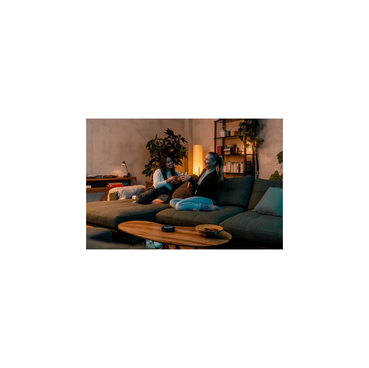 beyerdynamic Space Personal Bluetooth/USB Speakerphone