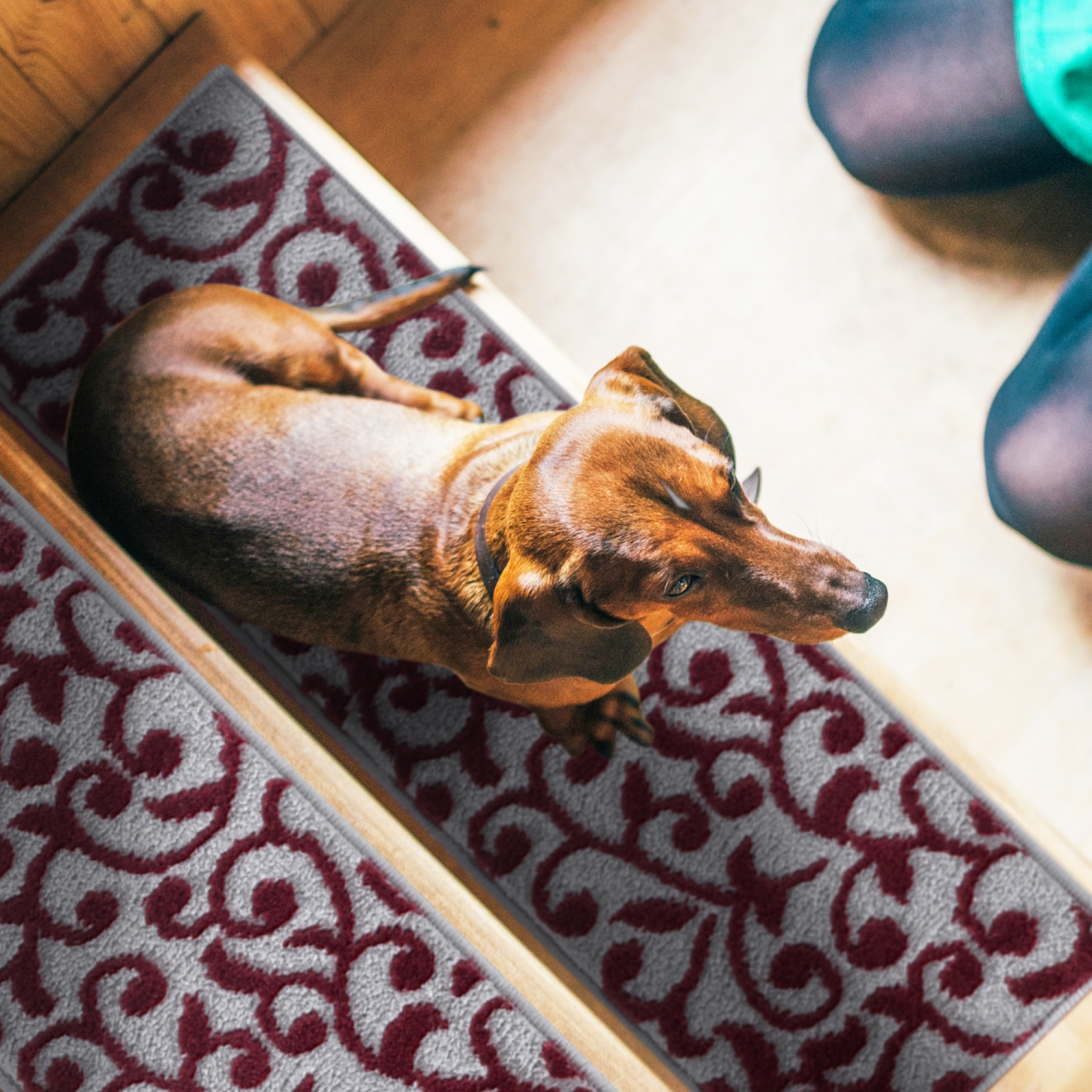 SussexHome Stair Treads - Carpet Strips for Indoor Stairs - Easy to Install with Double Adhesive Tape - Safe, 9" X 28" - 4-Pack - Red