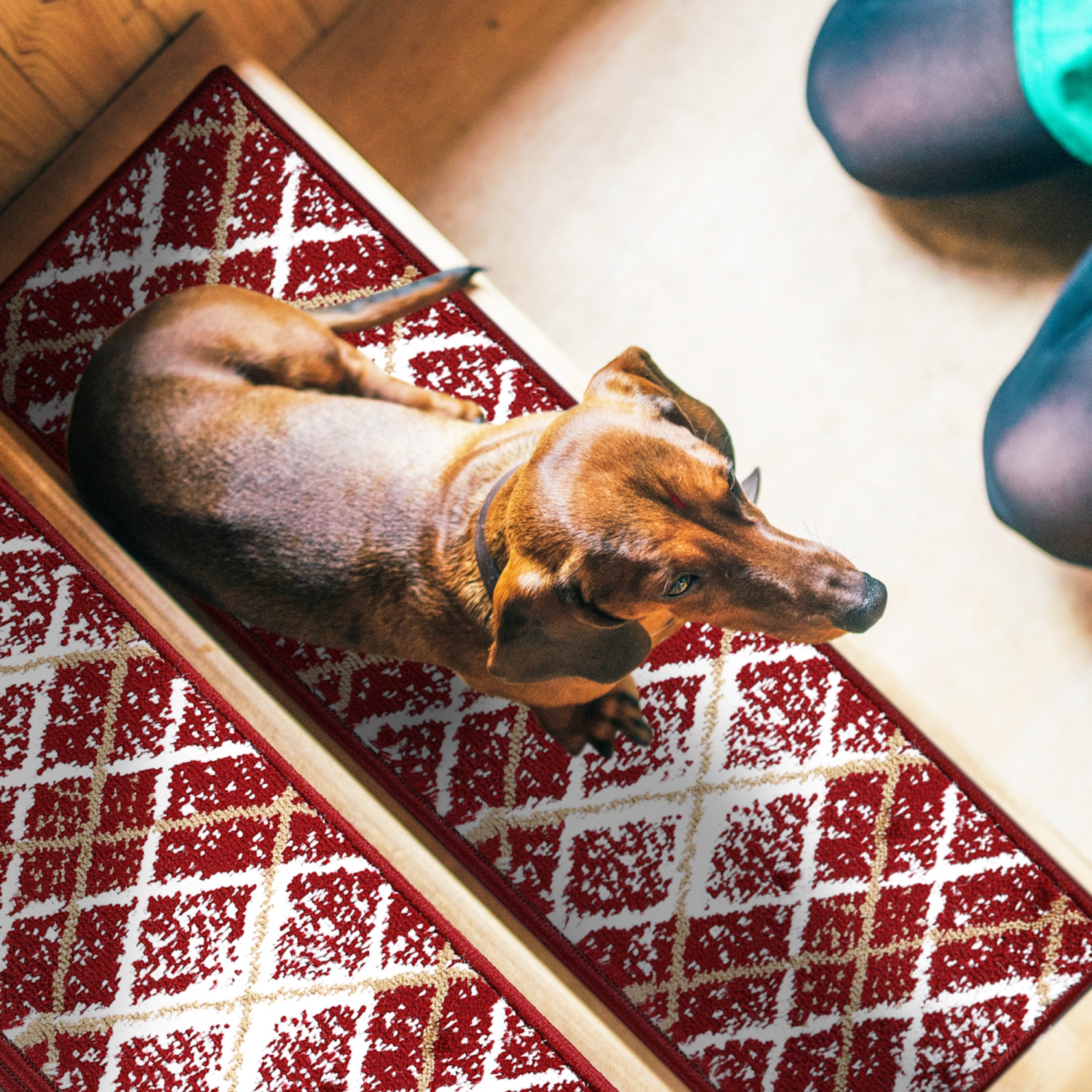 SussexHome Stair Treads - Carpet Strips for Indoor Stairs - Easy to Install with Double Adhesive Tape - Safe, 9" X 28" - 4-Pack - Red