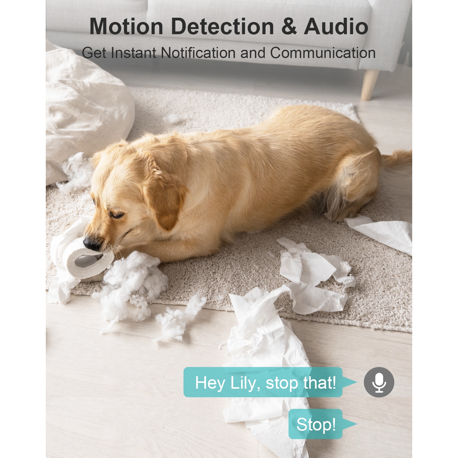 Caméra de surveillance intérieure WUUK 4MP, caméra intérieure Wi-Fi, caméra pour animal de compagnie avec détection de mouvement et d'humain