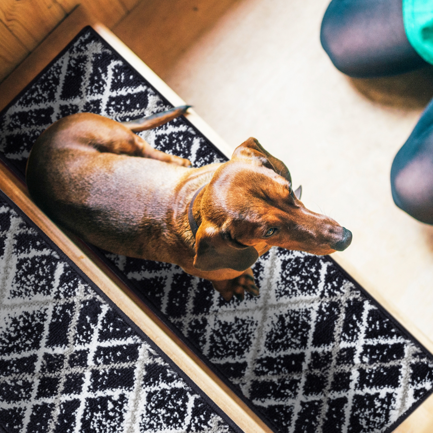 SussexHome Stair Treads - Carpet Strips for Indoor Stairs - Easy to Install with Double Adhesive Tape - Safe, 9" X 28" - 4-Pack - Navy