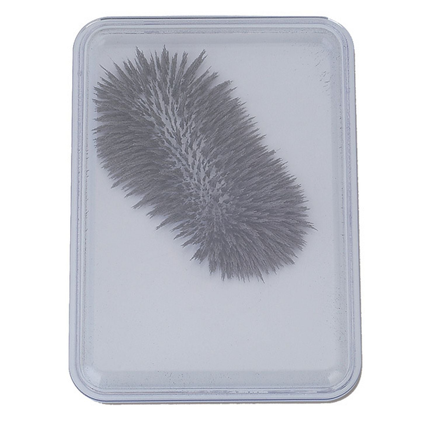 Popular Playthings - Iron Filings Case