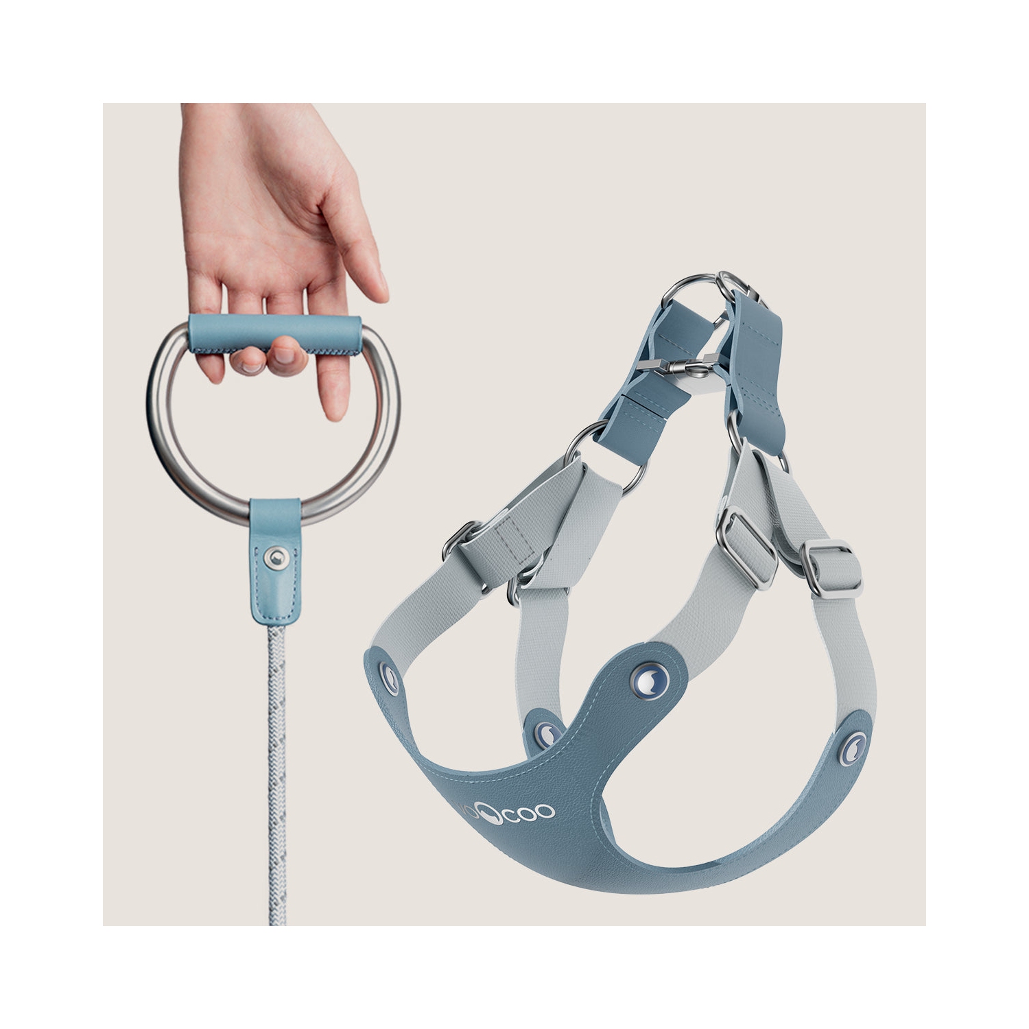 Harnais pour chien VOOCOO avec laisse en métal M