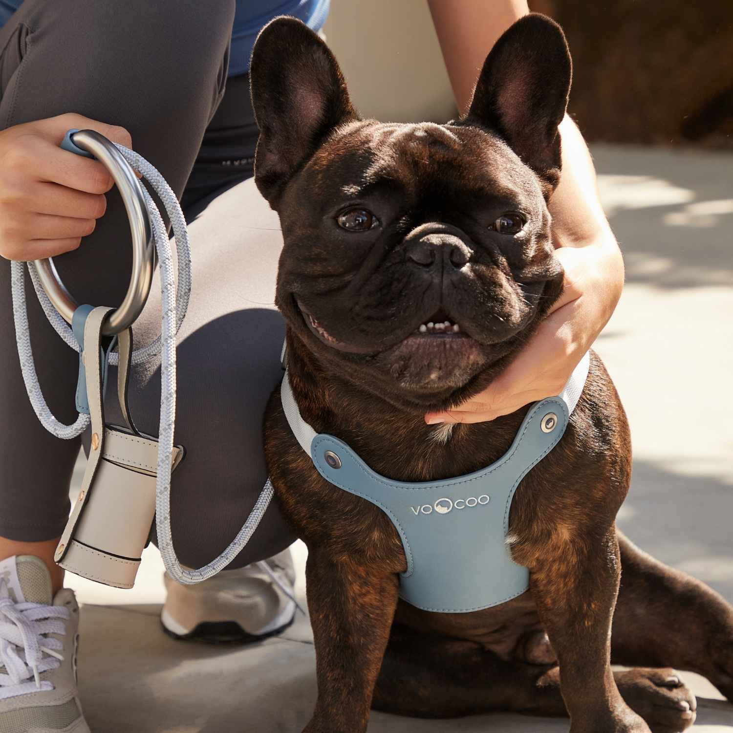 Harnais pour chien VOOCOO avec laisse en métal M