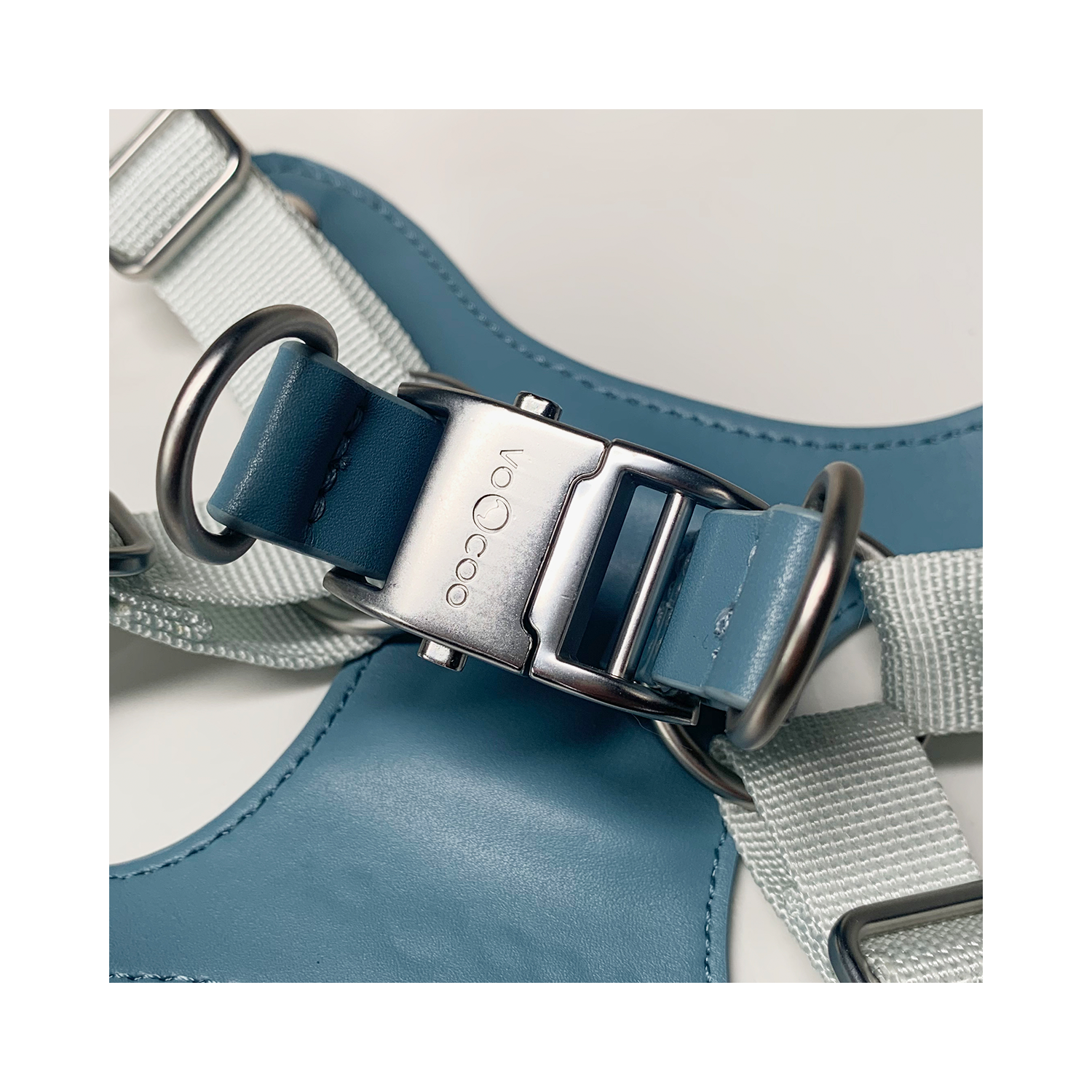 Harnais pour chien VOOCOO avec laisse en métal S