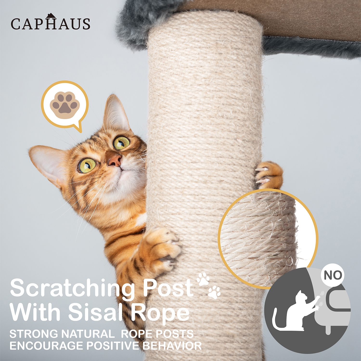 BOWHAUS 70 in. Dark Grey Cat Tower for Indoor Cats, Multi-Level Cat Activity Tree with Scratching Posts, Basket, Cave Condo