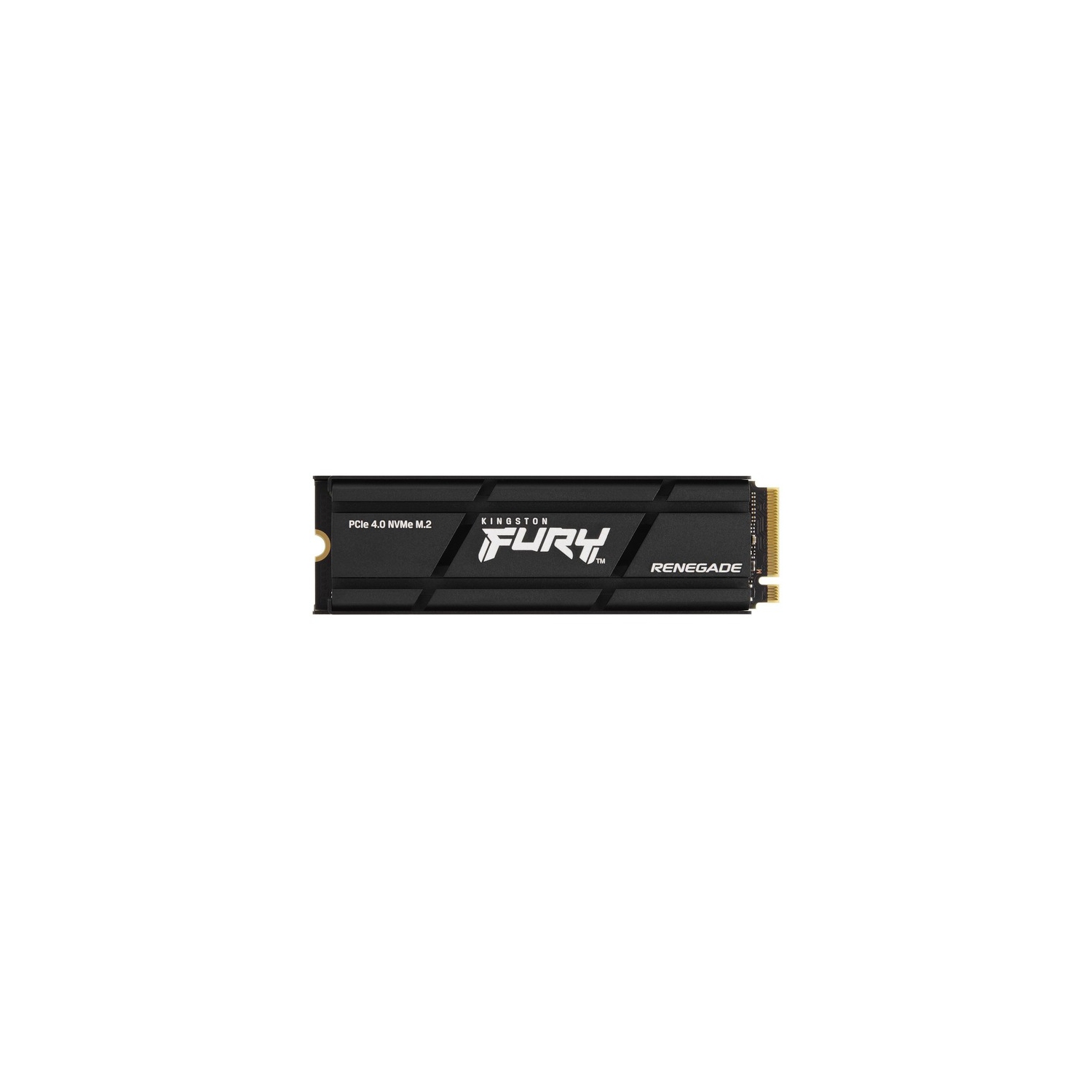 Kingston FURY Renegade Solid State Drive