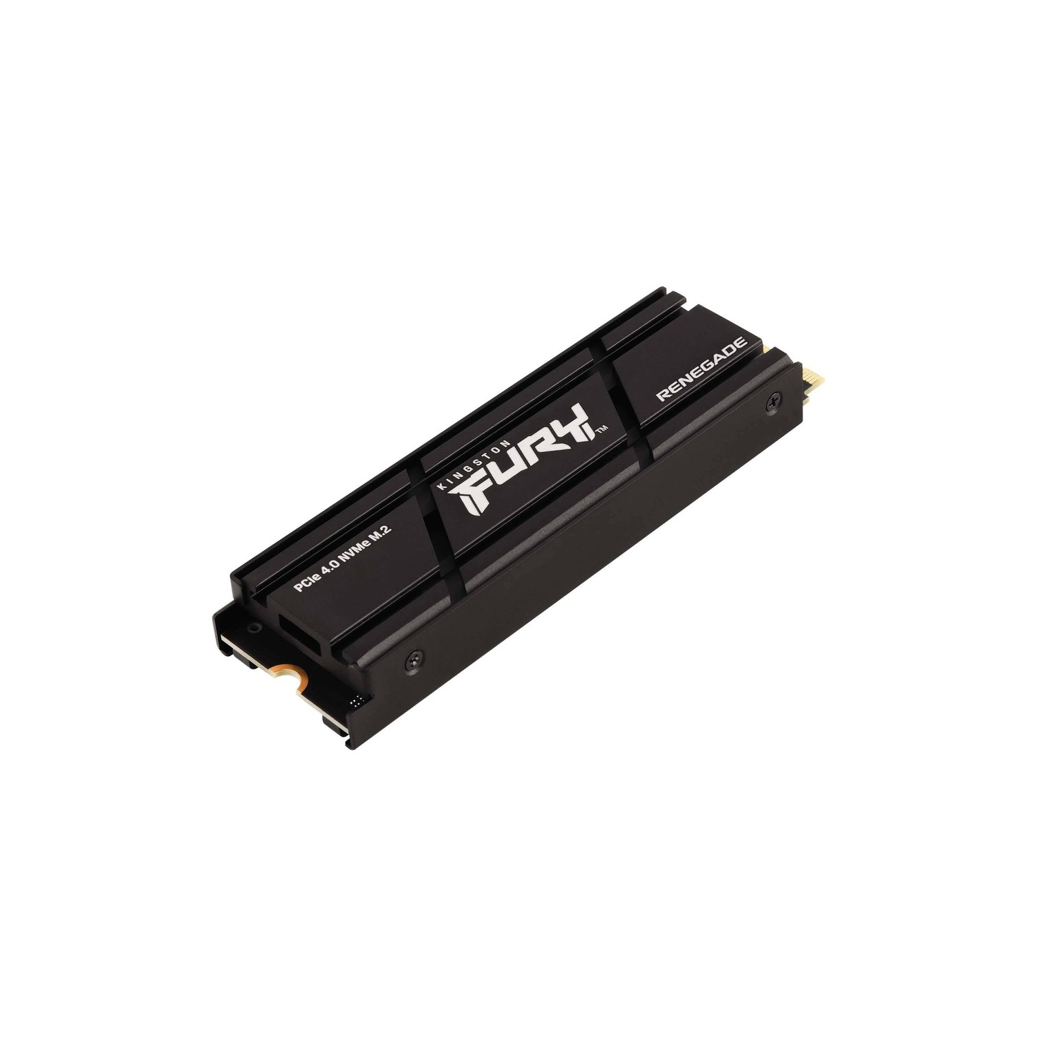 Kingston FURY Renegade Solid State Drive