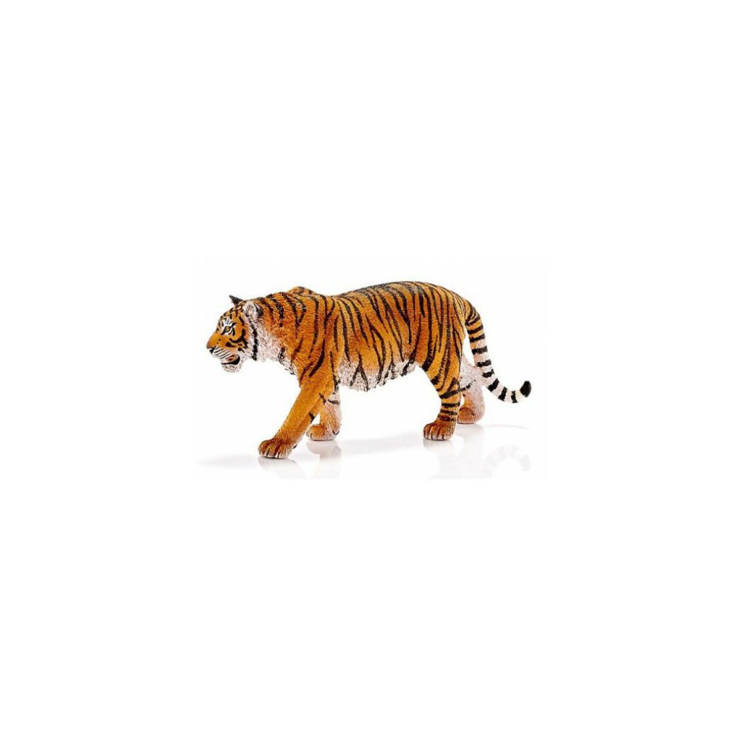 Wild Life: Tiger