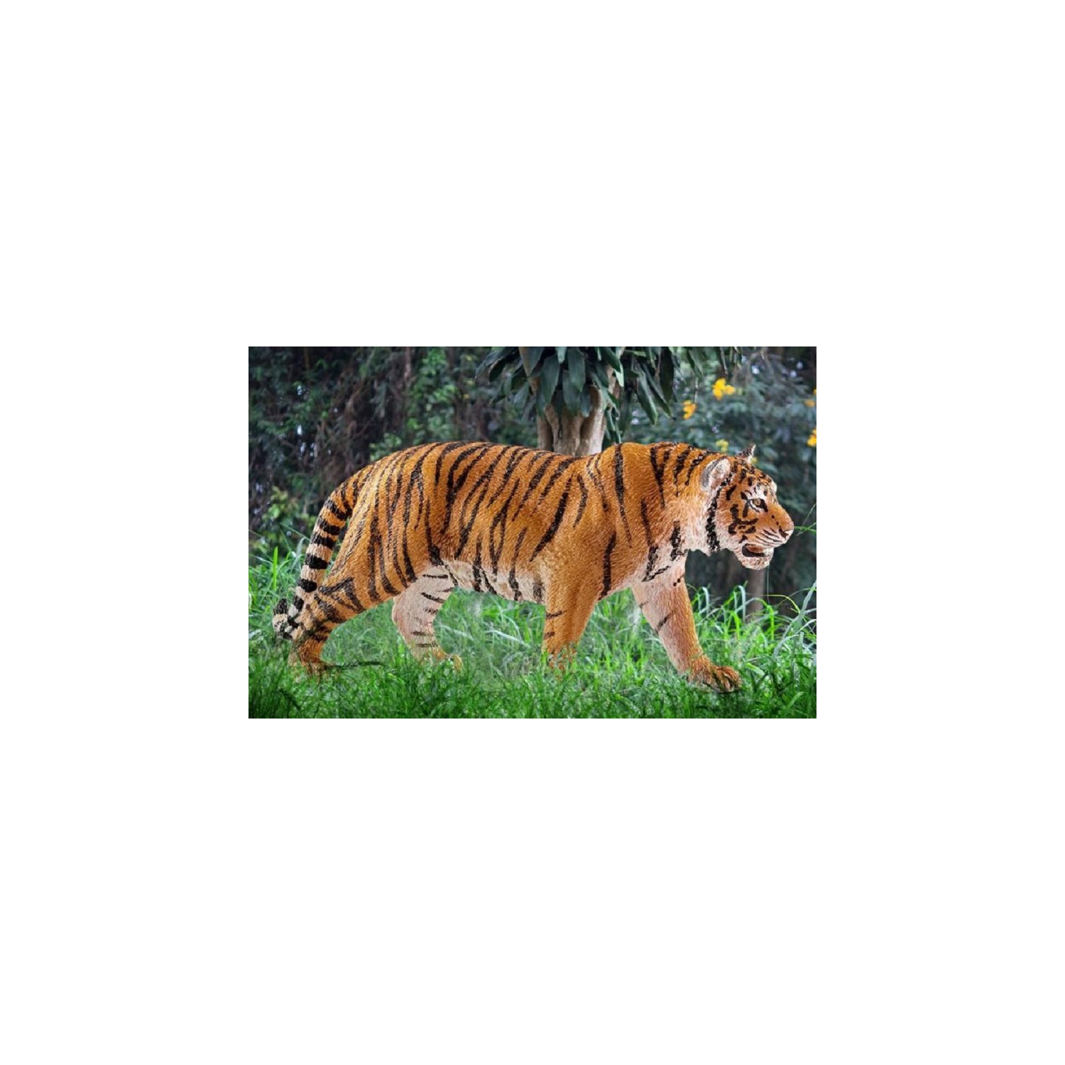 Wild Life: Tiger