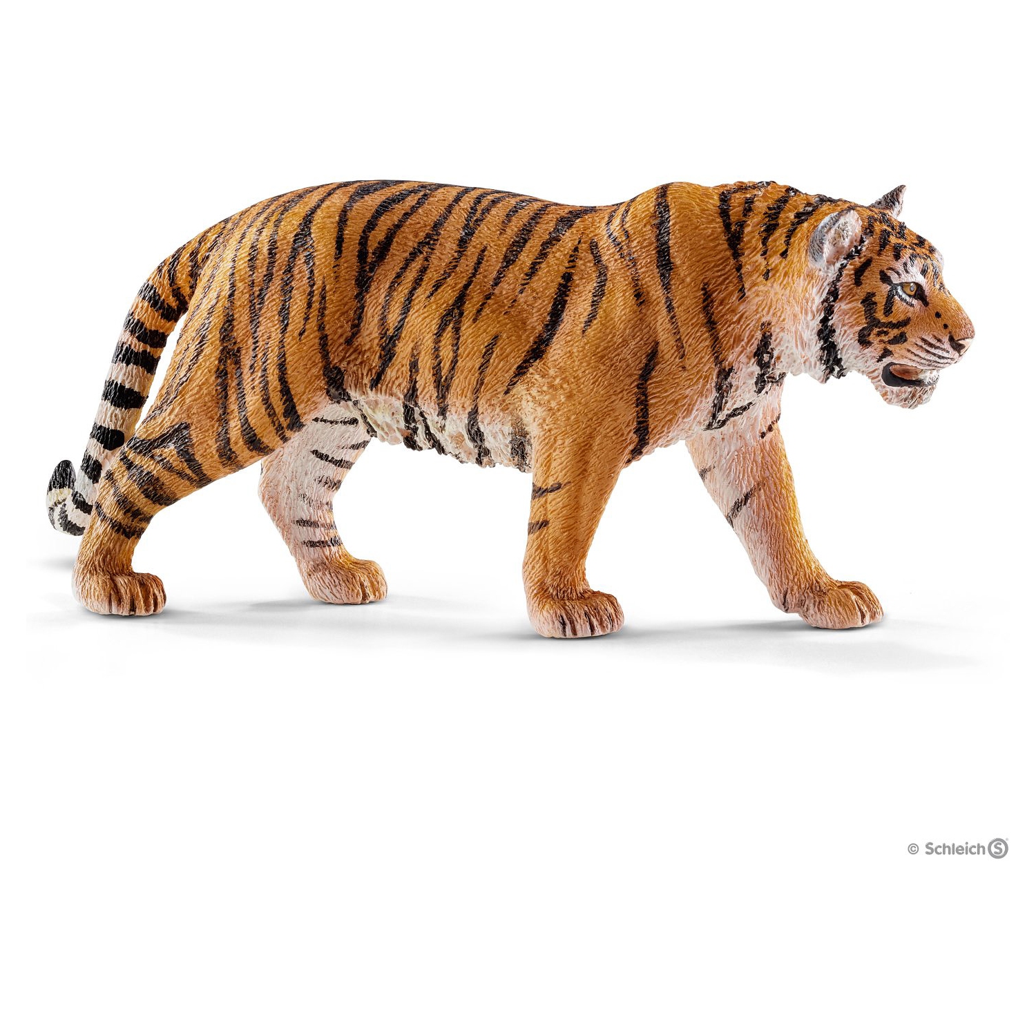 Wild Life: Tiger