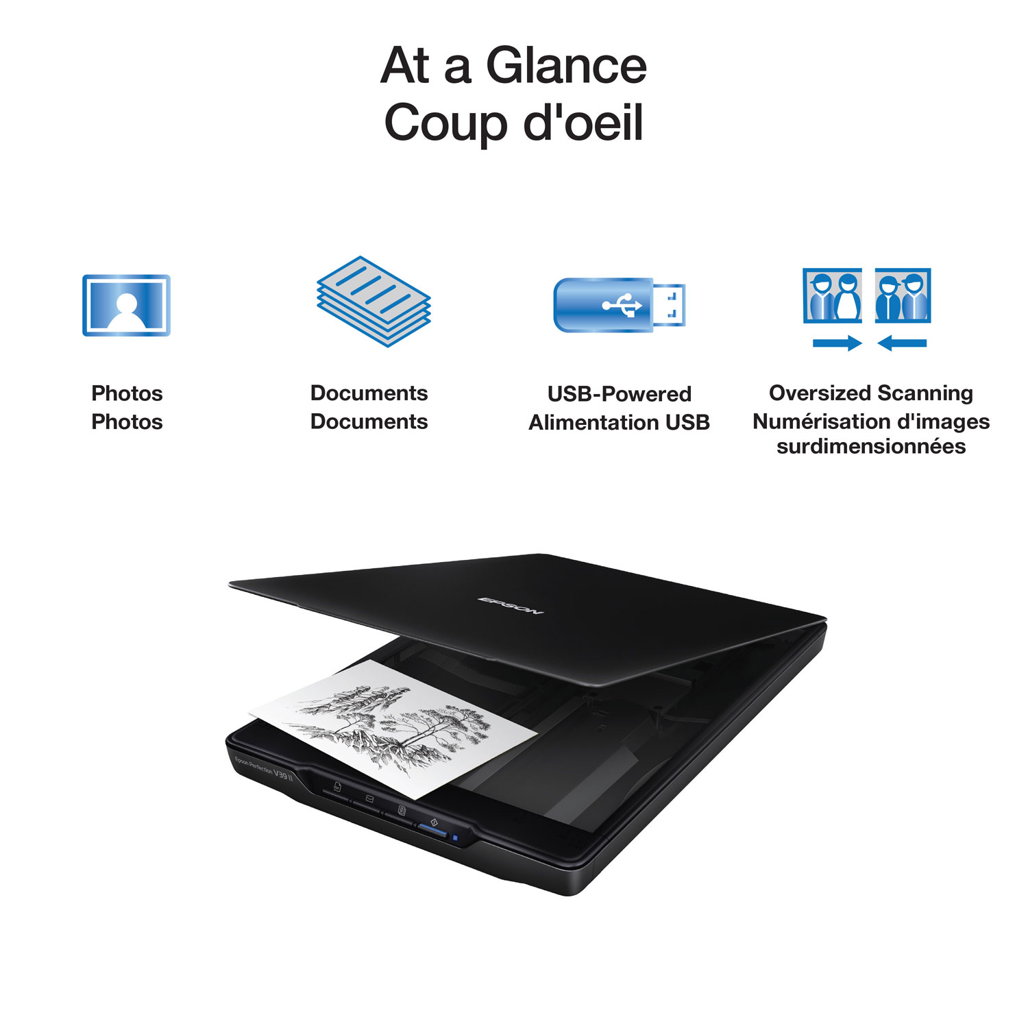 Numériseur de photos et de documents Perfection V39 II d'Epson