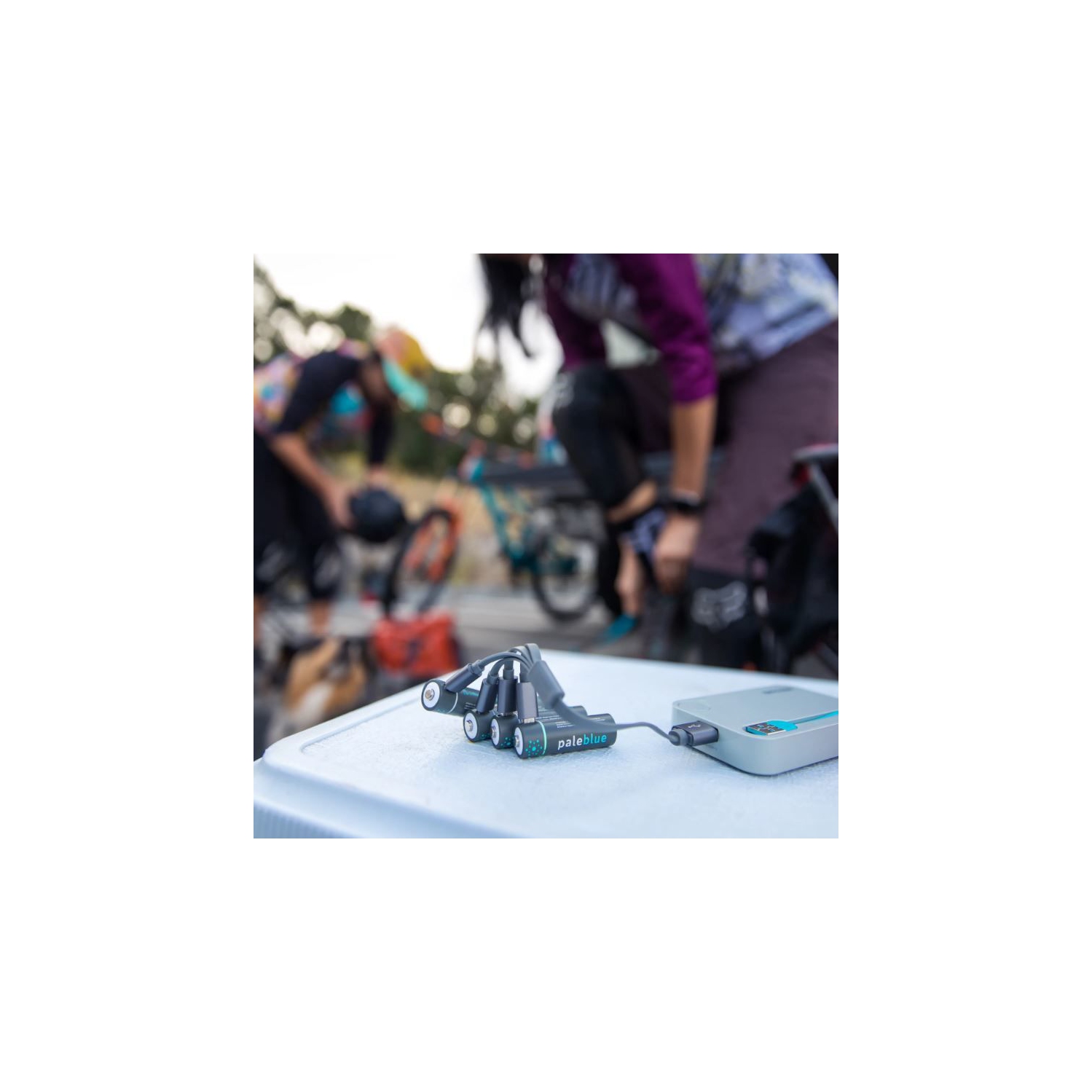 (8) AA + AAA Battery Sustainability Kit & Chargers