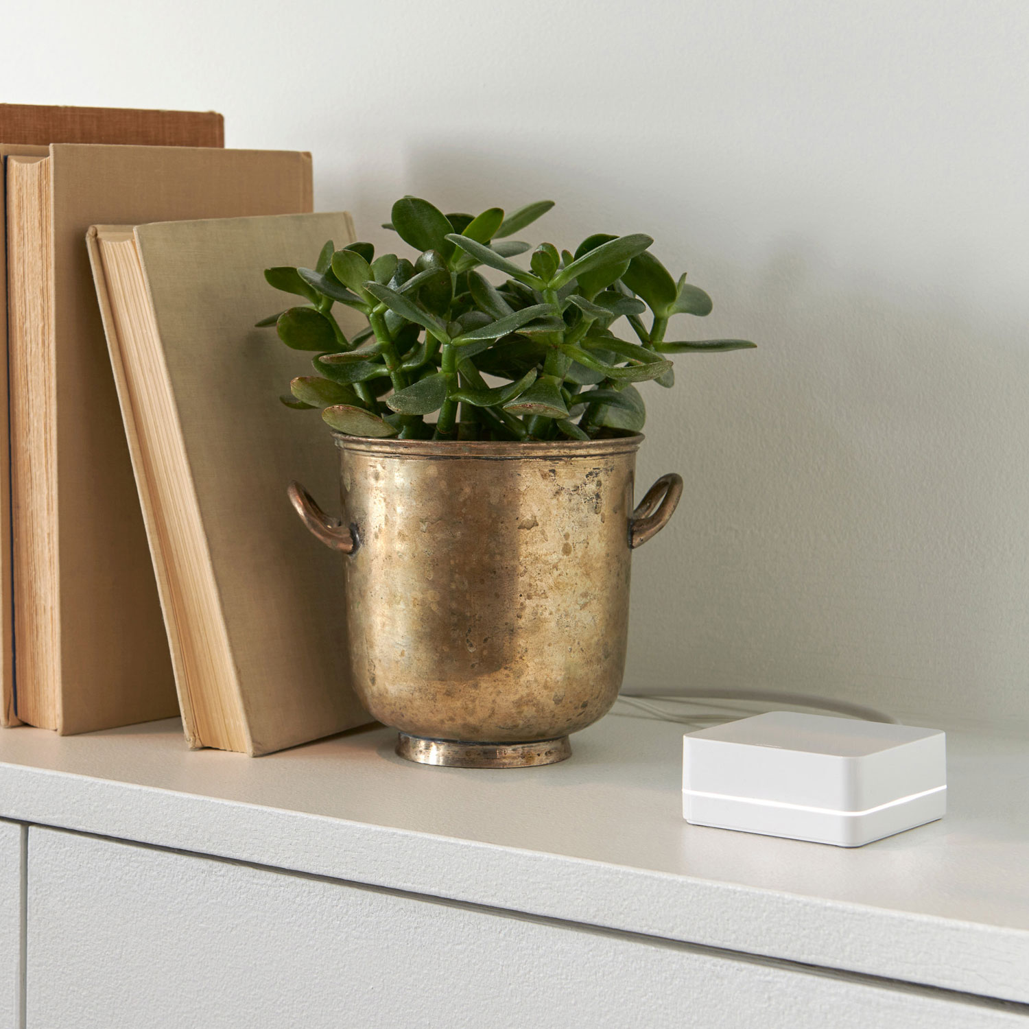 Lutron Diva Smart Dimmer Starter Kit for Caseta Smart Lighting