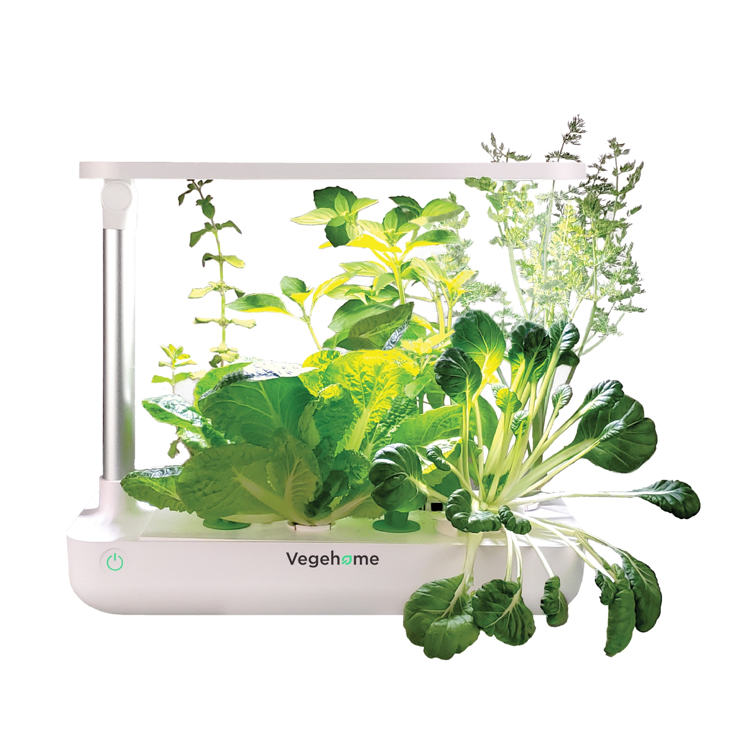 Vegehome Jardin Hydroponic Indoor Garden With 6 Pods Starter Kit