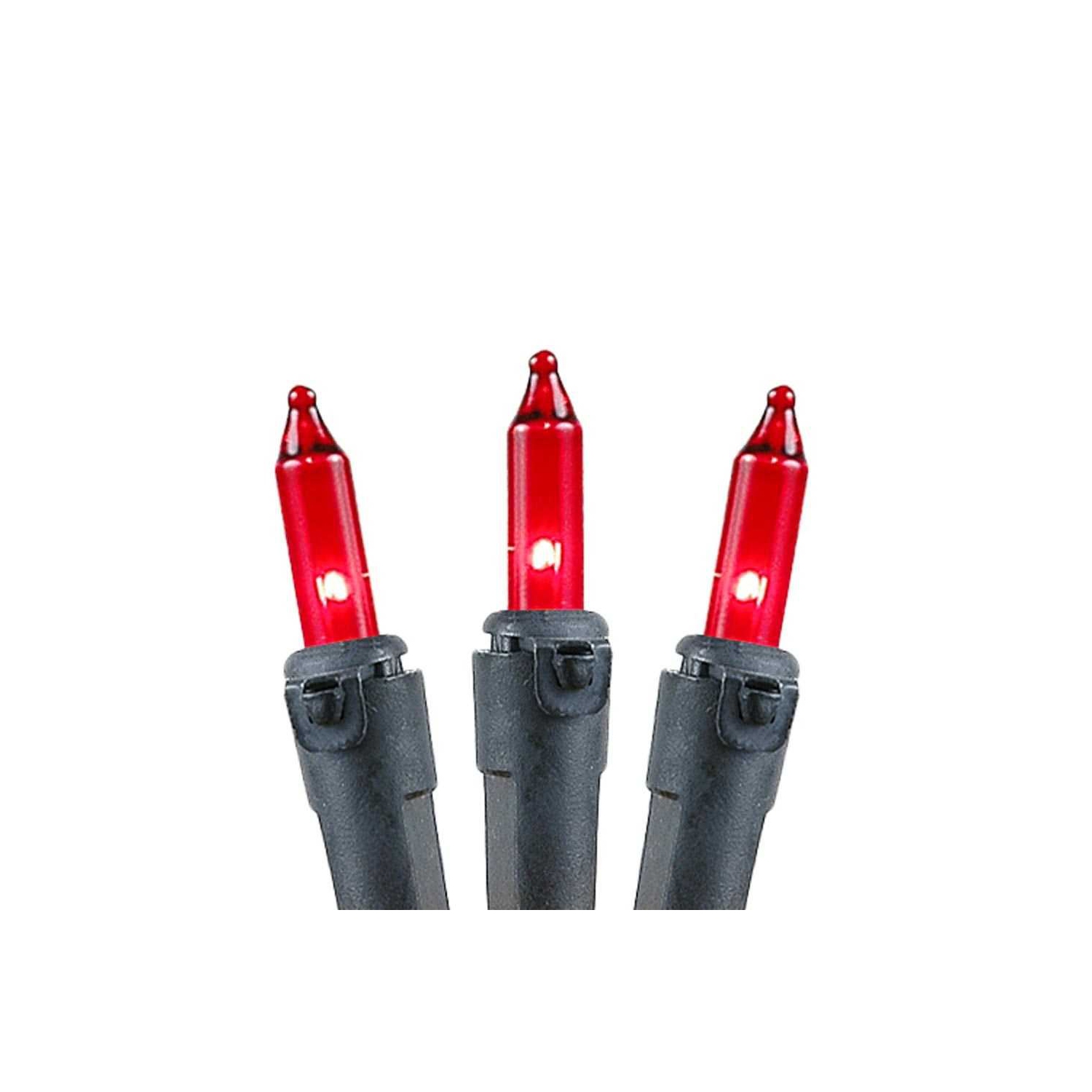 Novelty Lights 50 Light Clear Christmas Mini Light Set, Black Wire, 11' Long