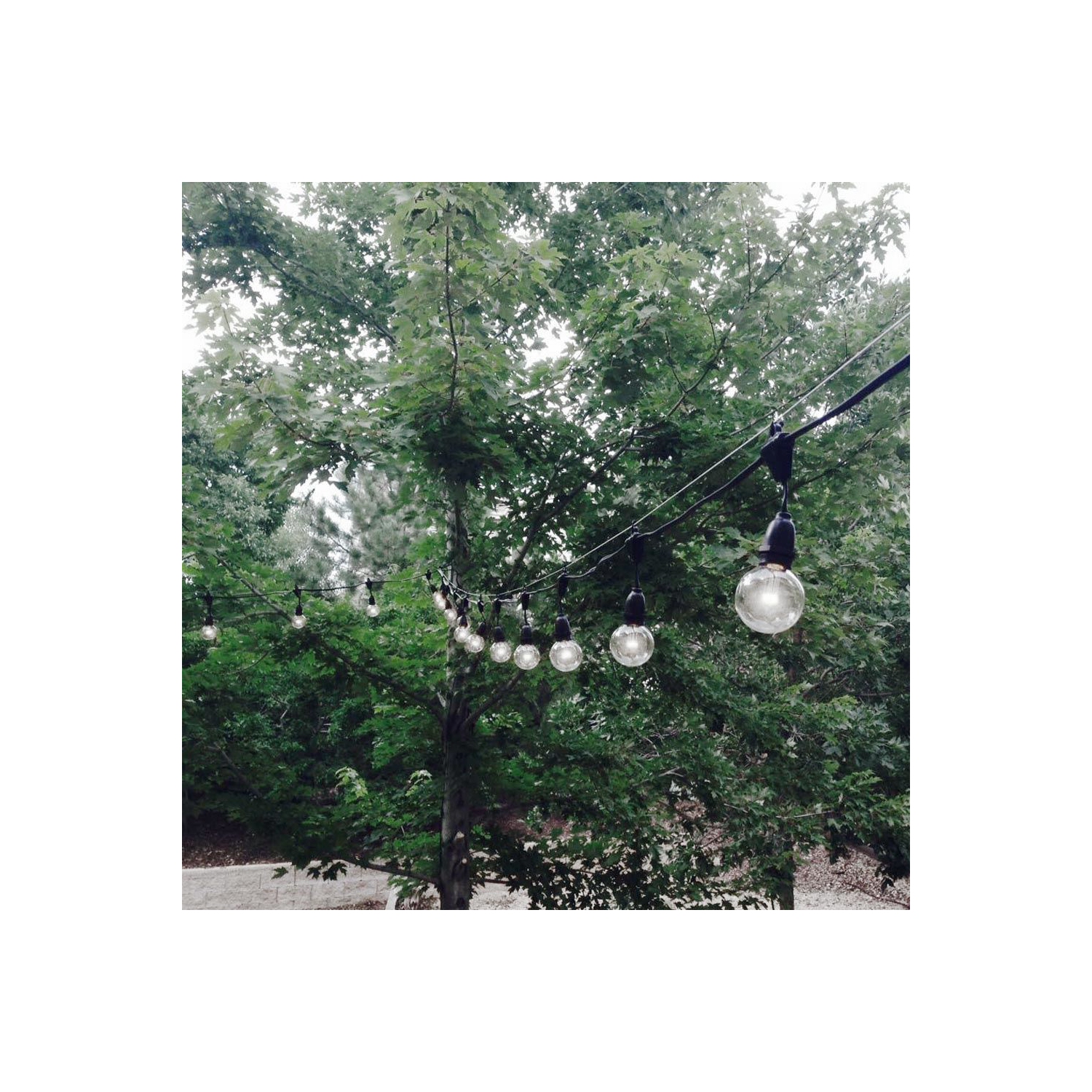 Novelty Lights G50 Glass LED Globe Bulbs, String Light Replacement Bulbs, E17 Intermediate Base, Energy Efficient Outdoor Patio Lighting