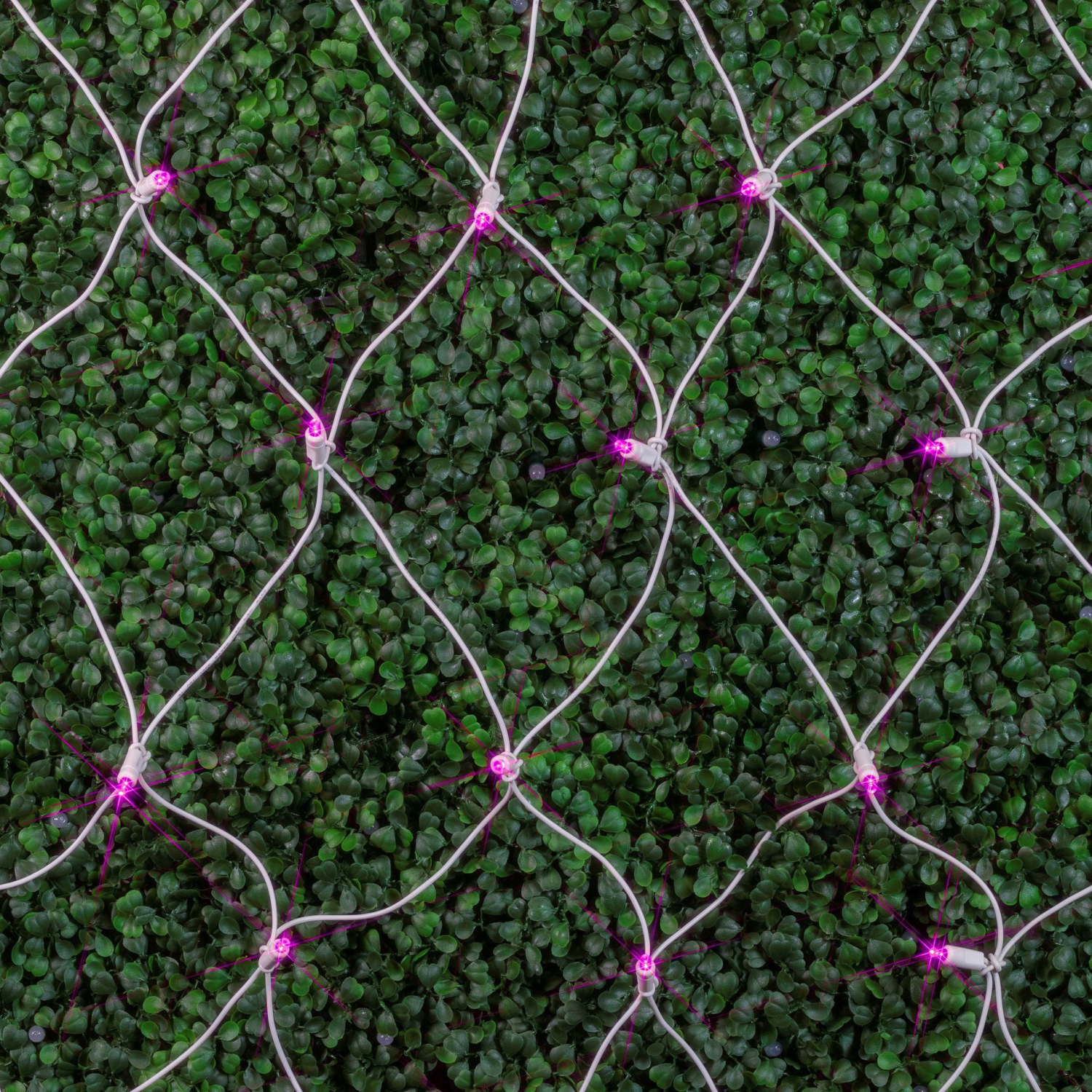 Novelty Lights 4x6 Net Lights, 100 LEDs with 4 Inch Spacing, 5mm Wide Angle Bulbs, Connectable End To End, Outdoor Weather Resistant Tree and Bush