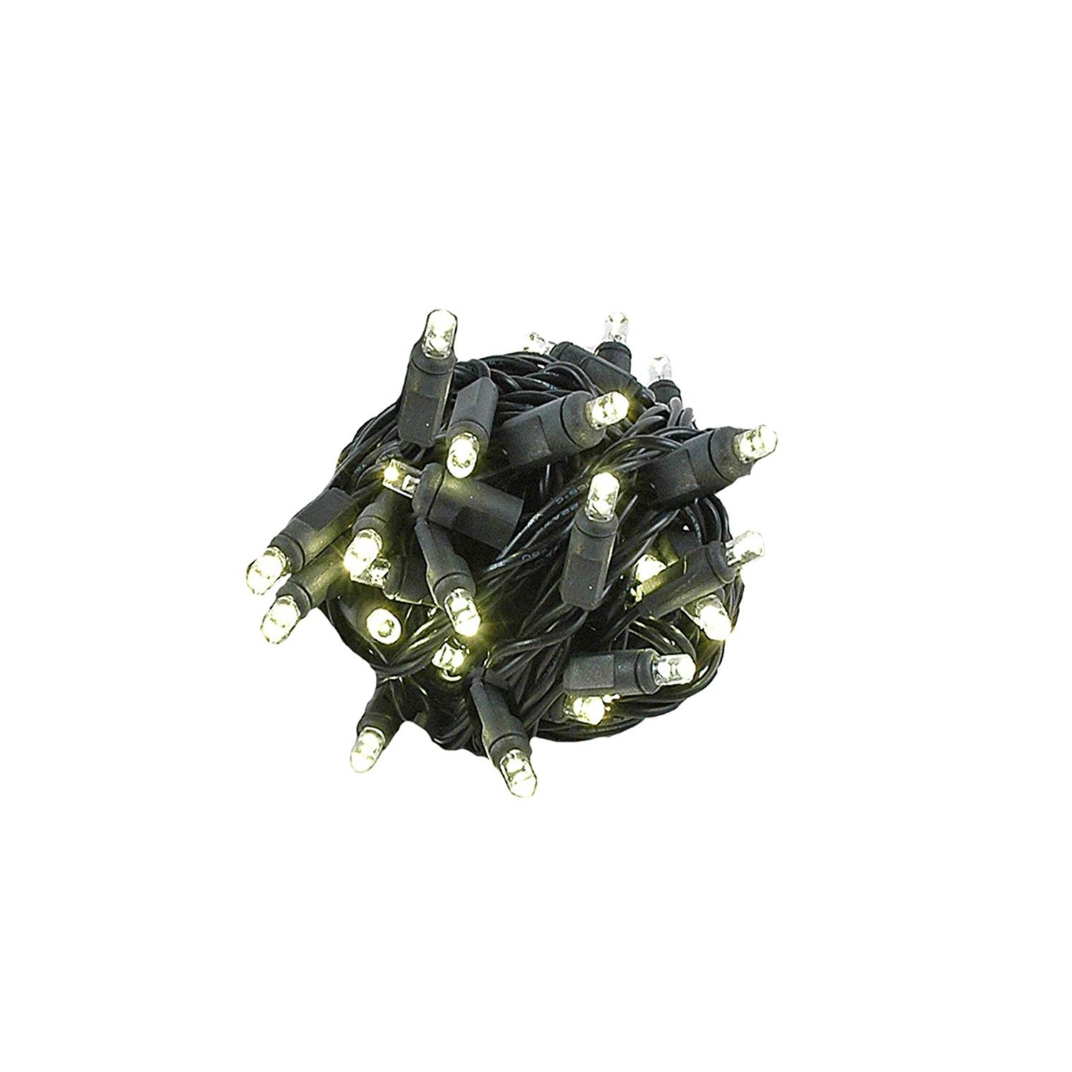 Novelty Lights 50 Light LED Twinkle Christmas LED Mini Light Set, Outdoor Fairy Wedding String Lights, Green White, 25 Feet