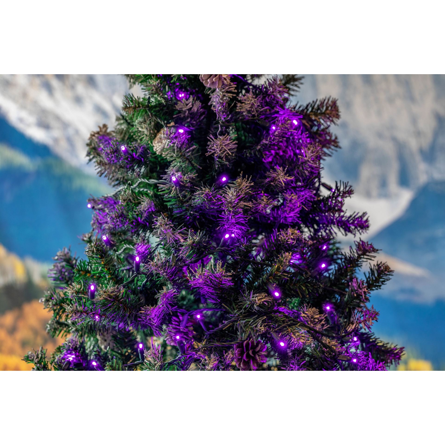 Jeu de mini lumières de Noël LED de 11 pi 50 sur fil vert, ampoules grand-angle 5&nbsp;mm, connectables, décoration intérieure/extérieure, homologuée