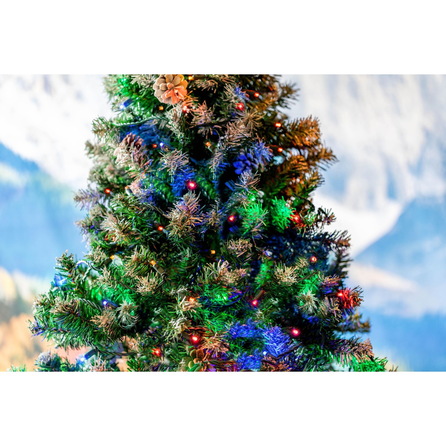 Novelty Lights 11ft Christmas String Lights, 50 LED Bulbs on Black Wire, 2.5" Spacing, Connectable Indoor Outdoor Commercial Grade Lighting for