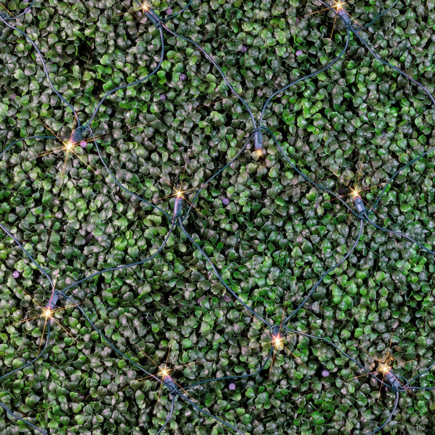 Novelty Lights 4x6 Net Lights, 100 LEDs with 4 Inch Spacing, 5mm Wide Angle Bulbs, Connectable End To End, Outdoor Weather Resistant Tree and Bush