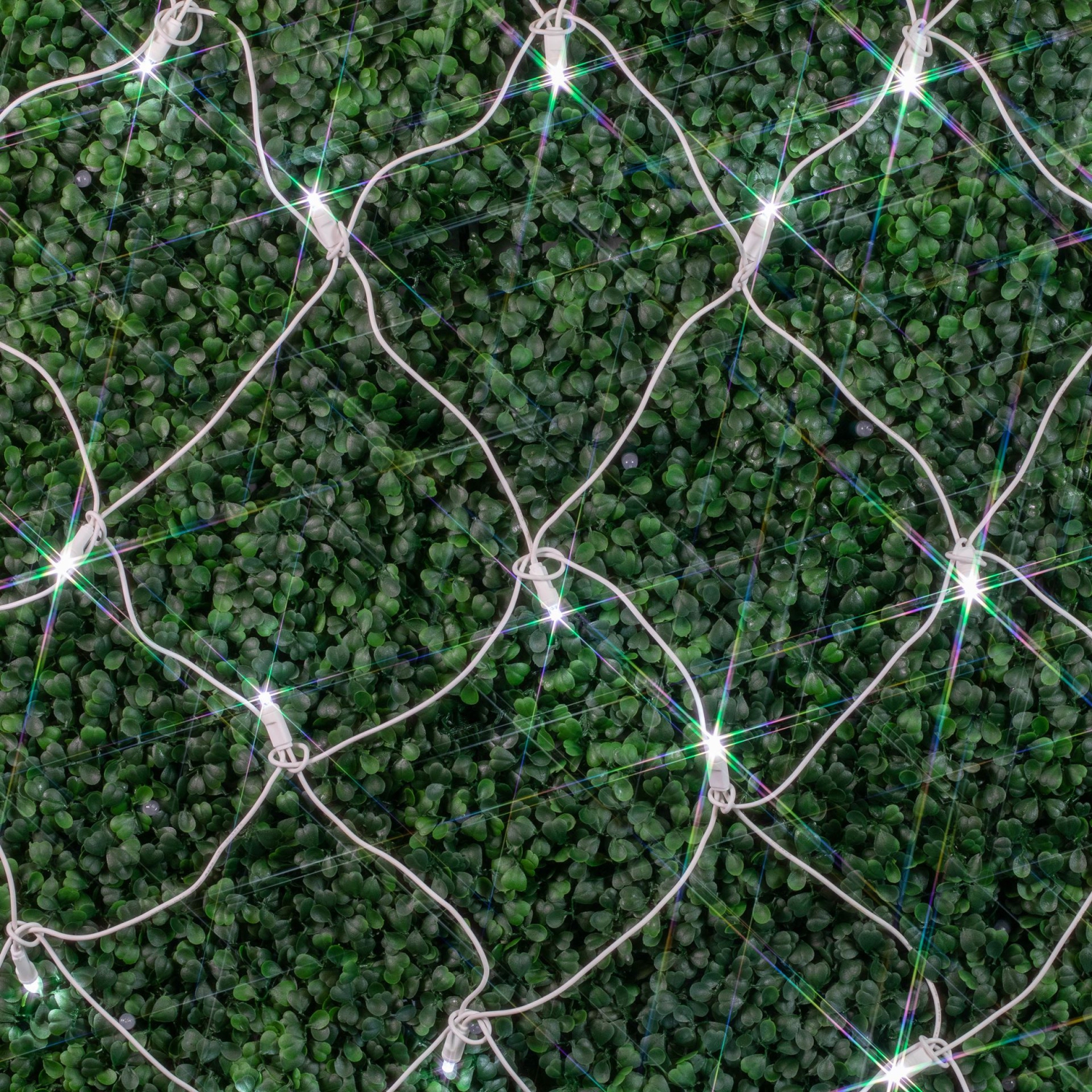 Novelty Lights 4x6 Net Lights, 100 LEDs with 4 Inch Spacing, 5mm Wide Angle Bulbs, Connectable End To End, Outdoor Weather Resistant Tree and Bush