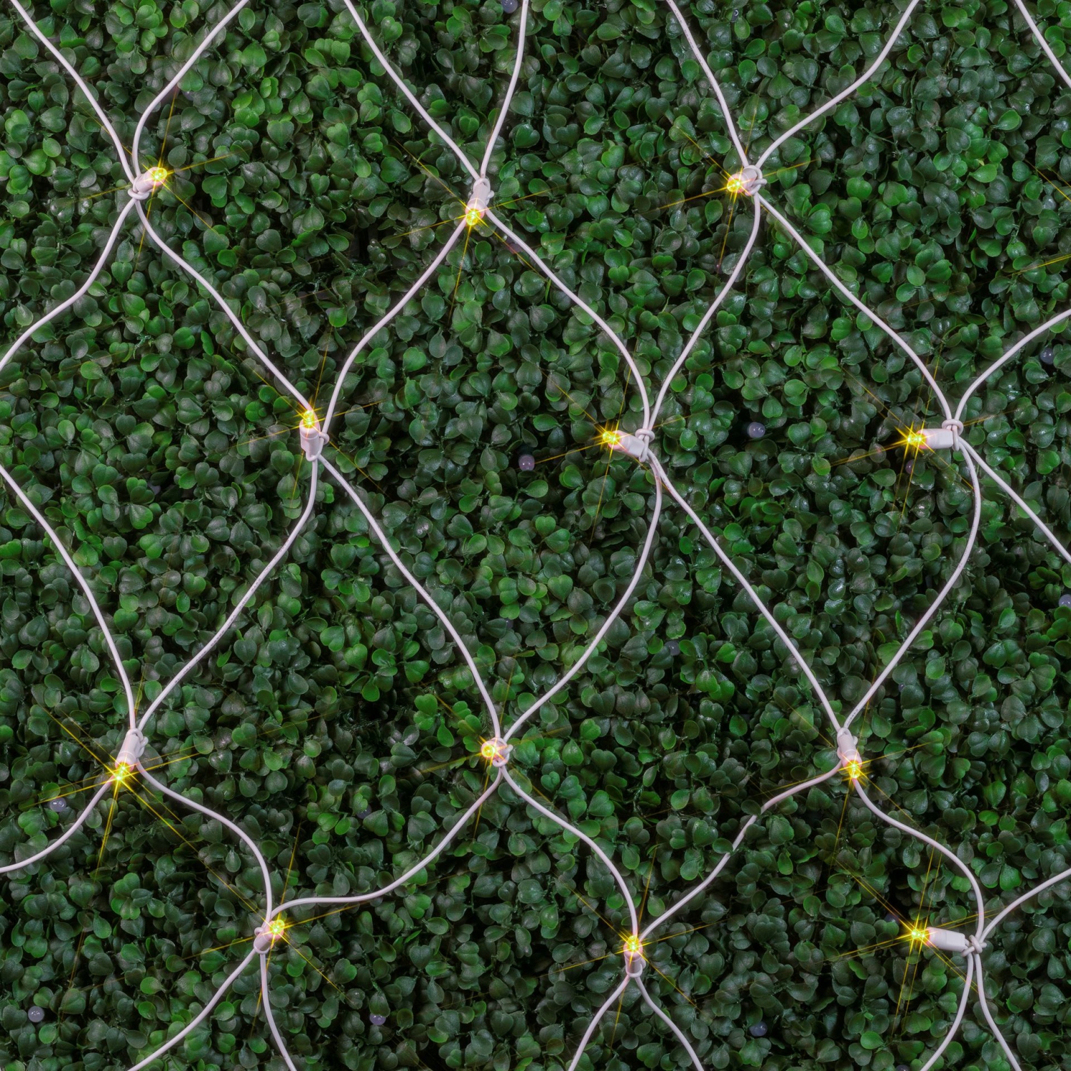 Novelty Lights 4x6 Net Lights, 100 LEDs with 4 Inch Spacing, 5mm Wide Angle Bulbs, Connectable End To End, Outdoor Weather Resistant Tree and Bush