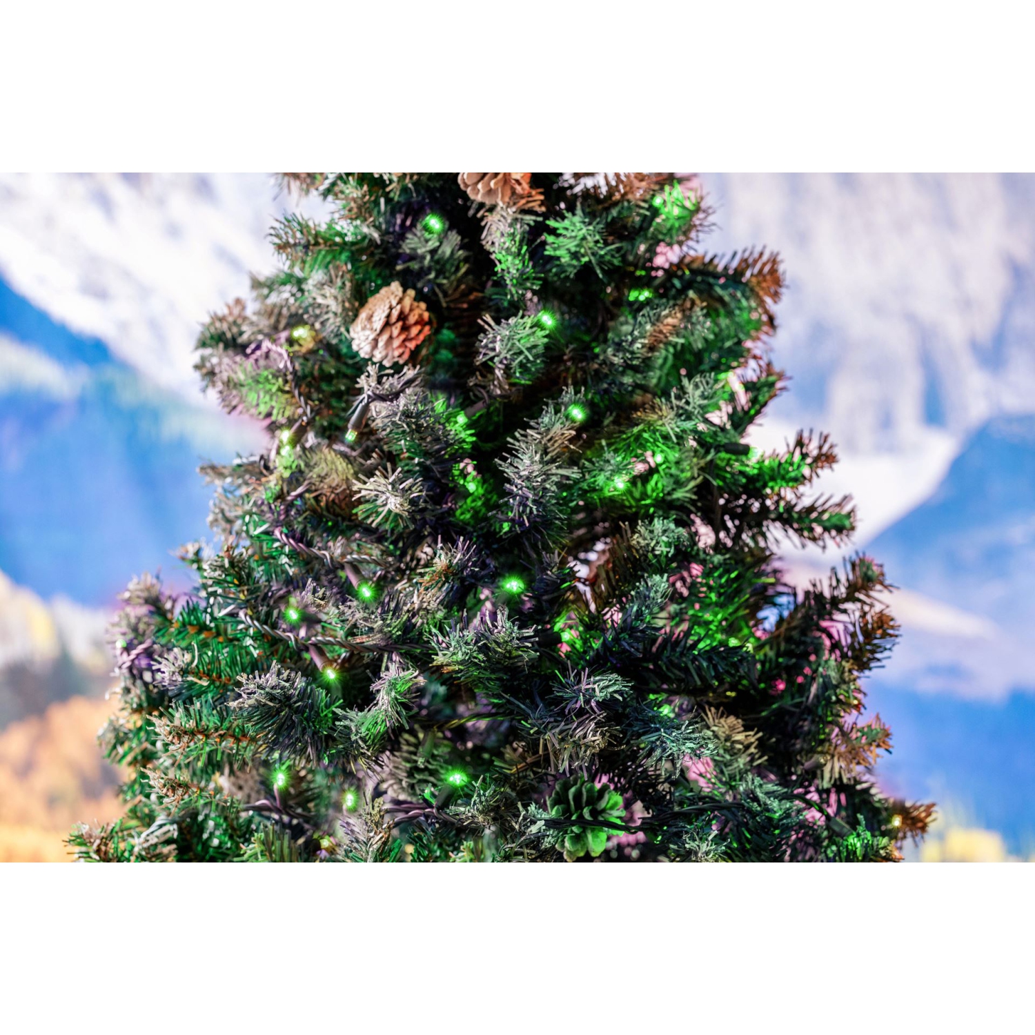 Novelty Lights 17ft 50 LED Christmas Lights Outdoor/Indoor, 4" Spacing, Green Wire String Lights for Festive Xmas Lighting, IP55, UL Listed,