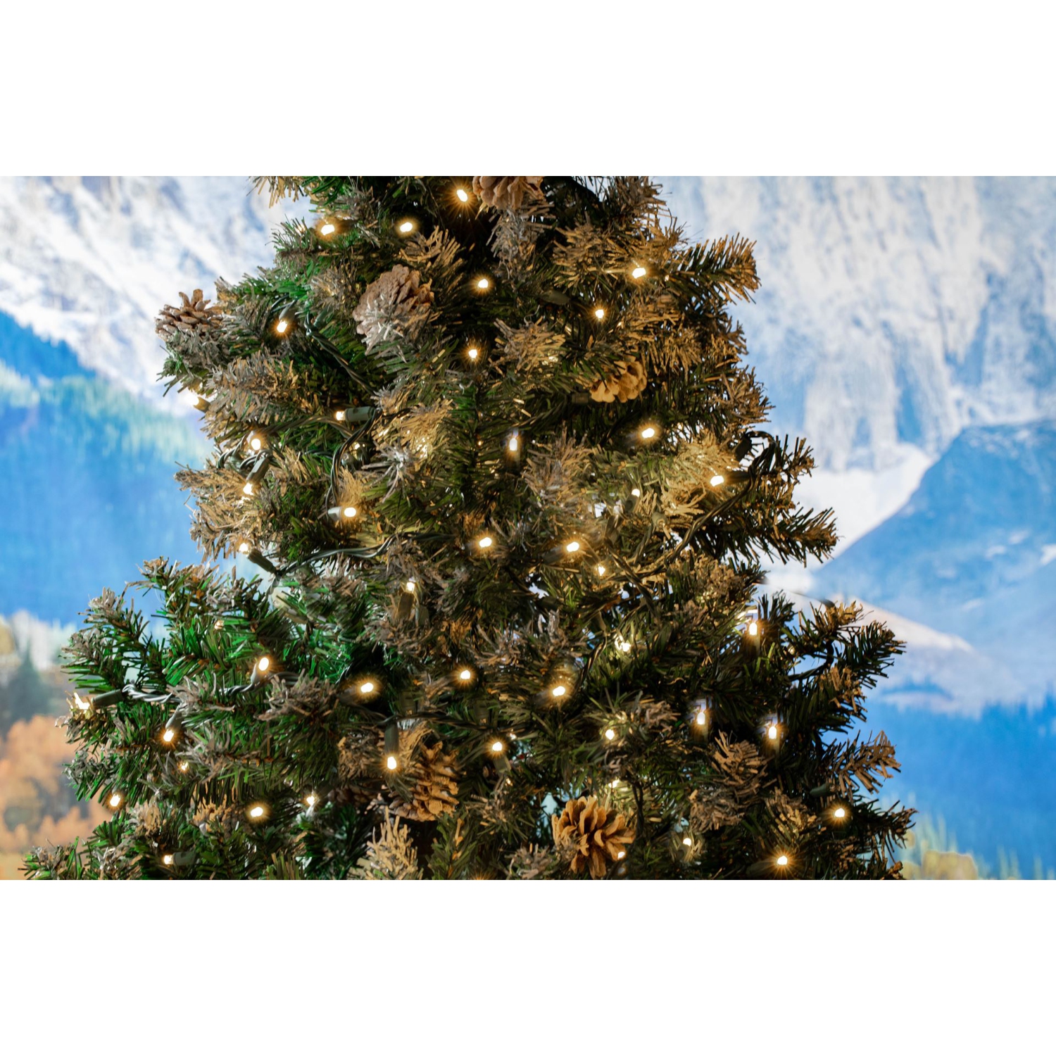 Novelty Lights 25 Feet 50 LED True Twinkle Outdoor Christmas String, 100% Twinkle 5mm LED Lights on Green Wire, Commercial Grade UL Listed,