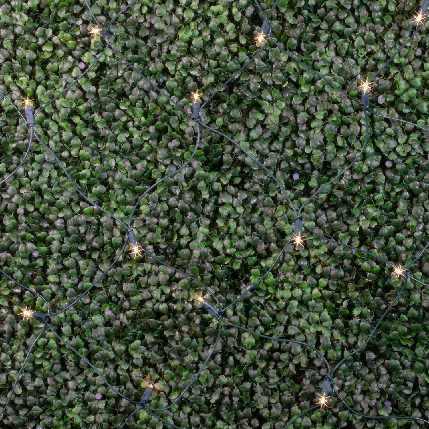 Novelty Lights 4x6 Net Lights, 100 LEDs with 4 Inch Spacing, 5mm Wide Angle Bulbs, Connectable End To End, Outdoor Weather Resistant Tree and Bush