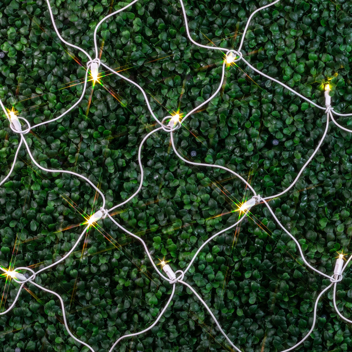 Novelty Lights 4x6 Net Lights, 100 LEDs with 4 Inch Spacing, 5mm Wide Angle Bulbs, Connectable End To End, Outdoor Weather Resistant Tree and Bush