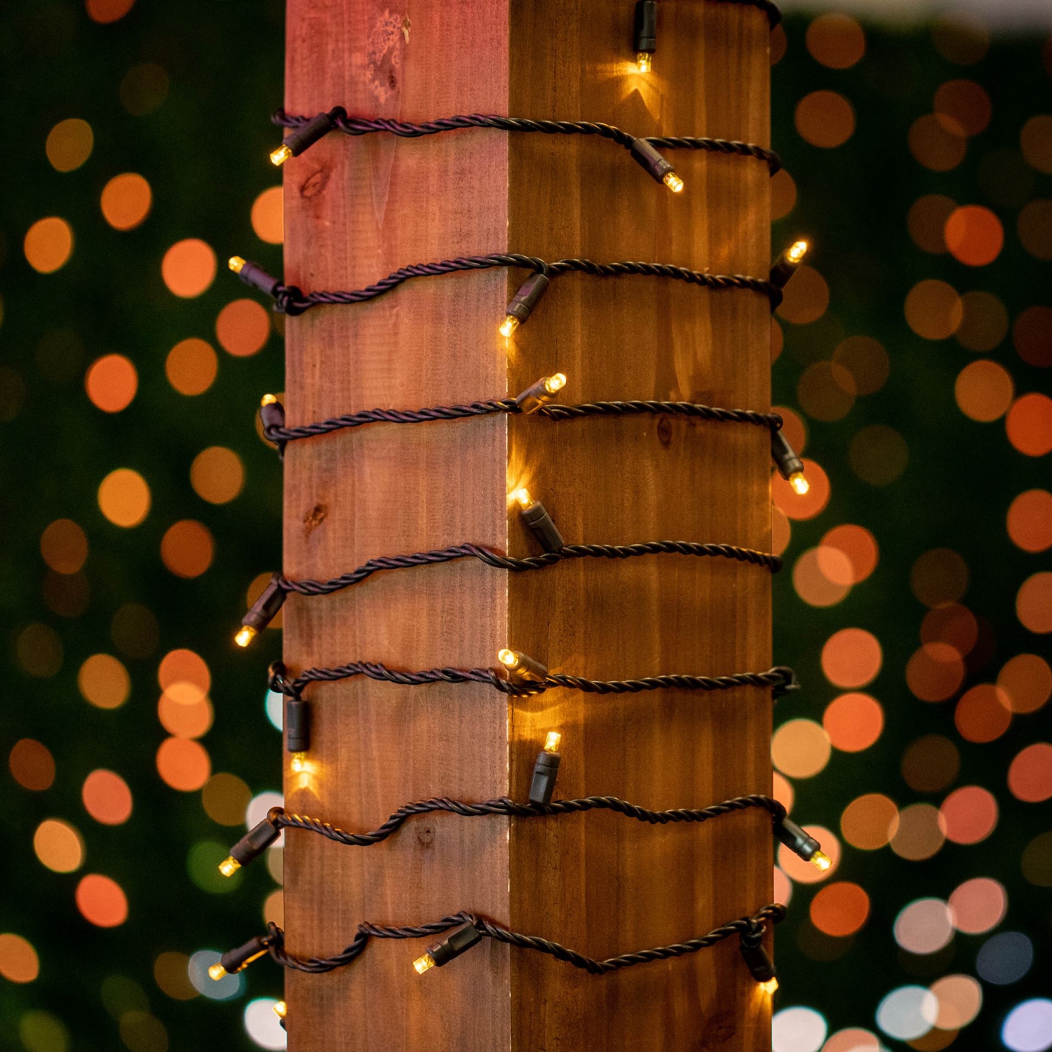 Novelty Lights 11ft Christmas String Lights, 50 LED Bulbs on Black Wire, 2.5" Spacing, Connectable Indoor Outdoor Commercial Grade Lighting for