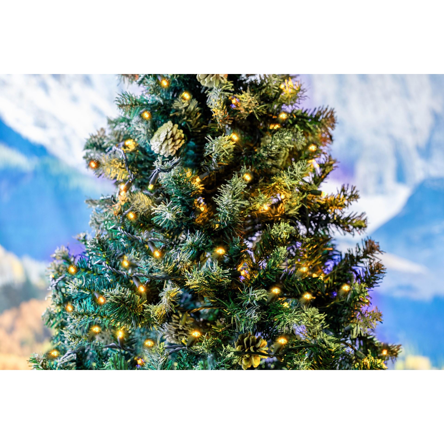 Novelty Lights 11ft Christmas String Lights, 50 LED Bulbs on Black Wire, 2.5" Spacing, Connectable Indoor Outdoor Commercial Grade Lighting for