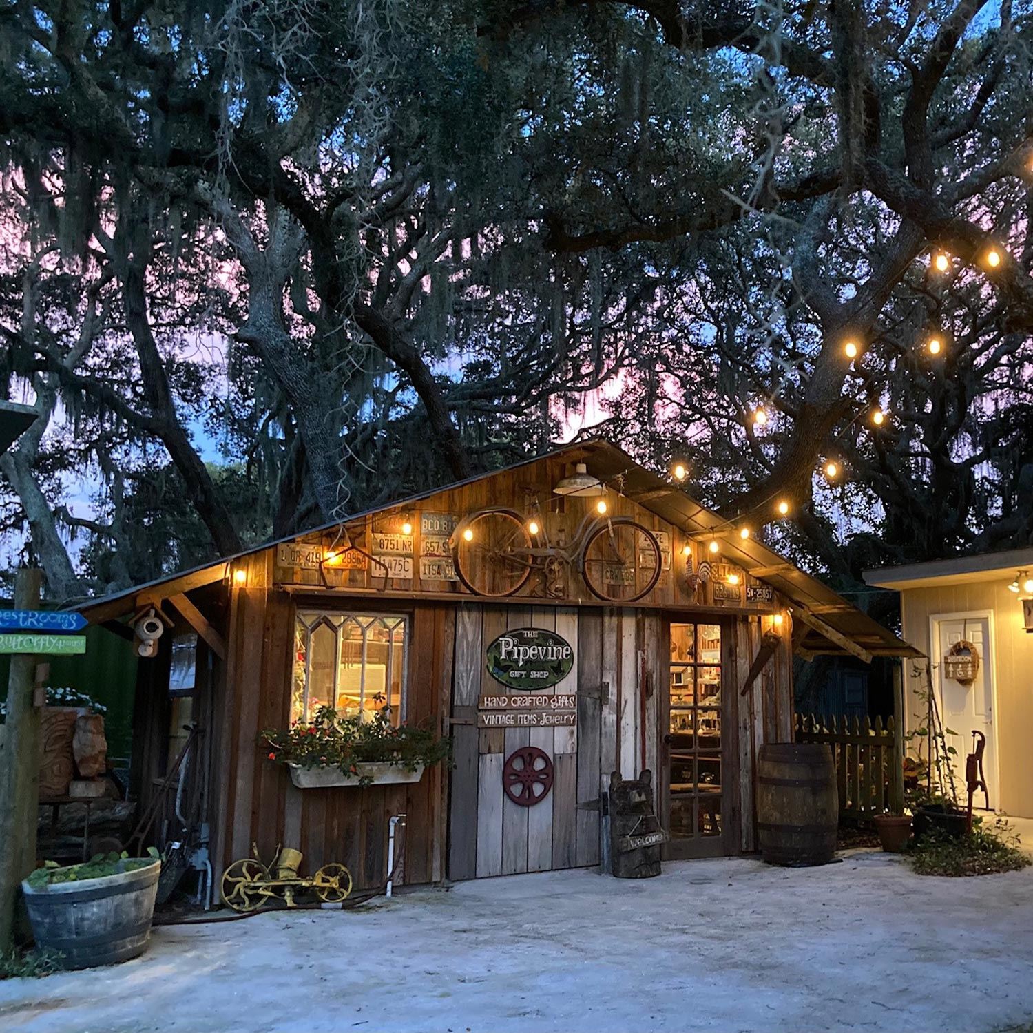 Novelty Lights LED S14 Outdoor Patio Edison Replacement Bulbs, E26 Medium Base, 1 Watt